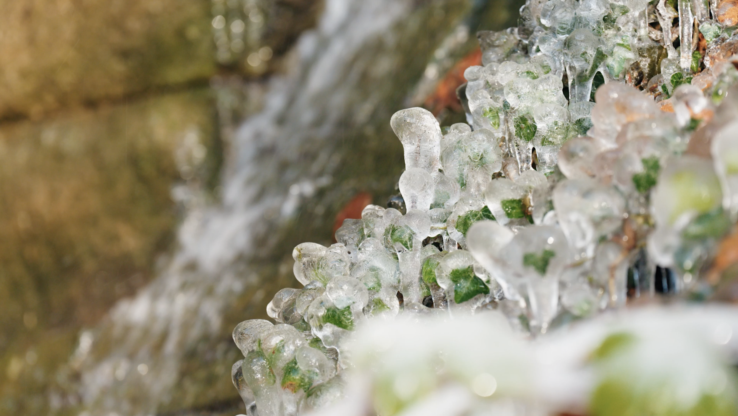 Screenshot 2023-11-21 at 16.52.23.png