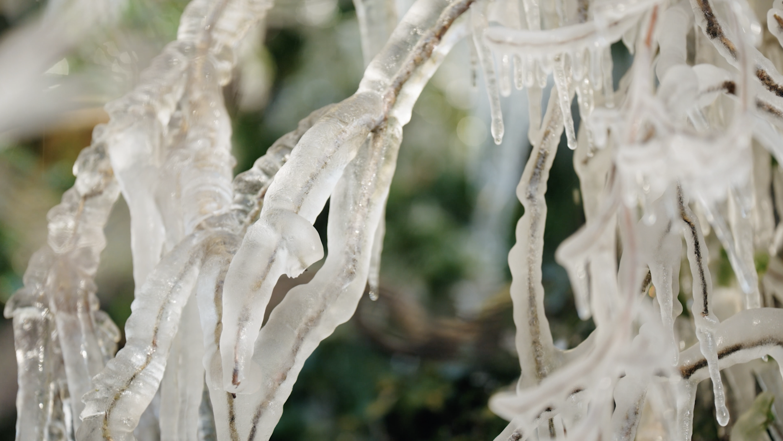 Screenshot 2023-11-21 at 16.51.52.png