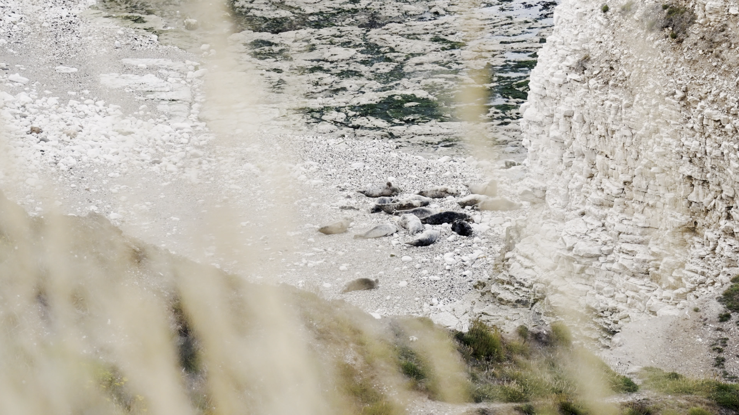 Screenshot 2023-11-22 at 11.43.43.png