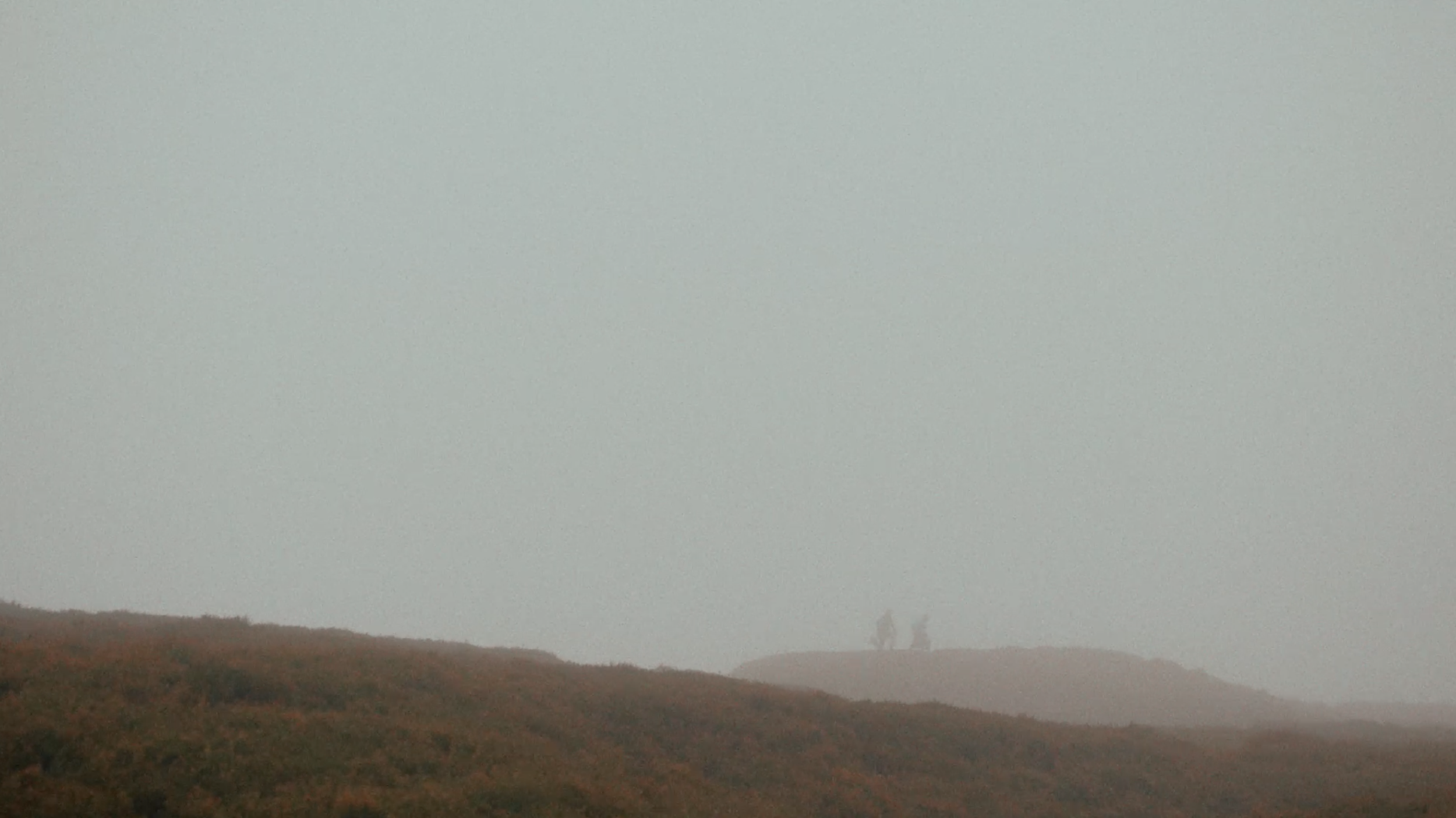 Screenshot 2023-11-20 at 16.42.25.png