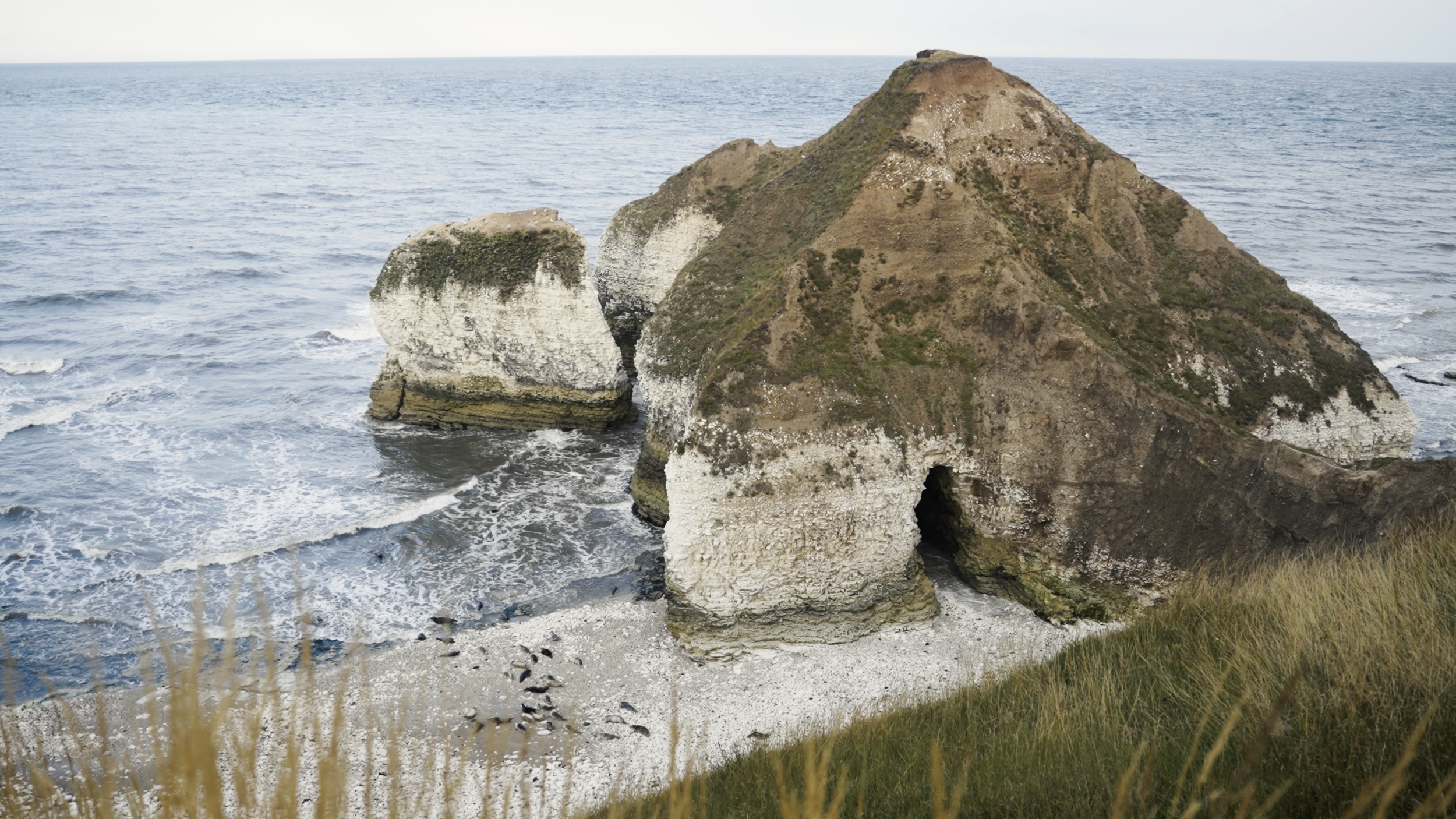 Screenshot 2023-11-22 at 11.43.31.png