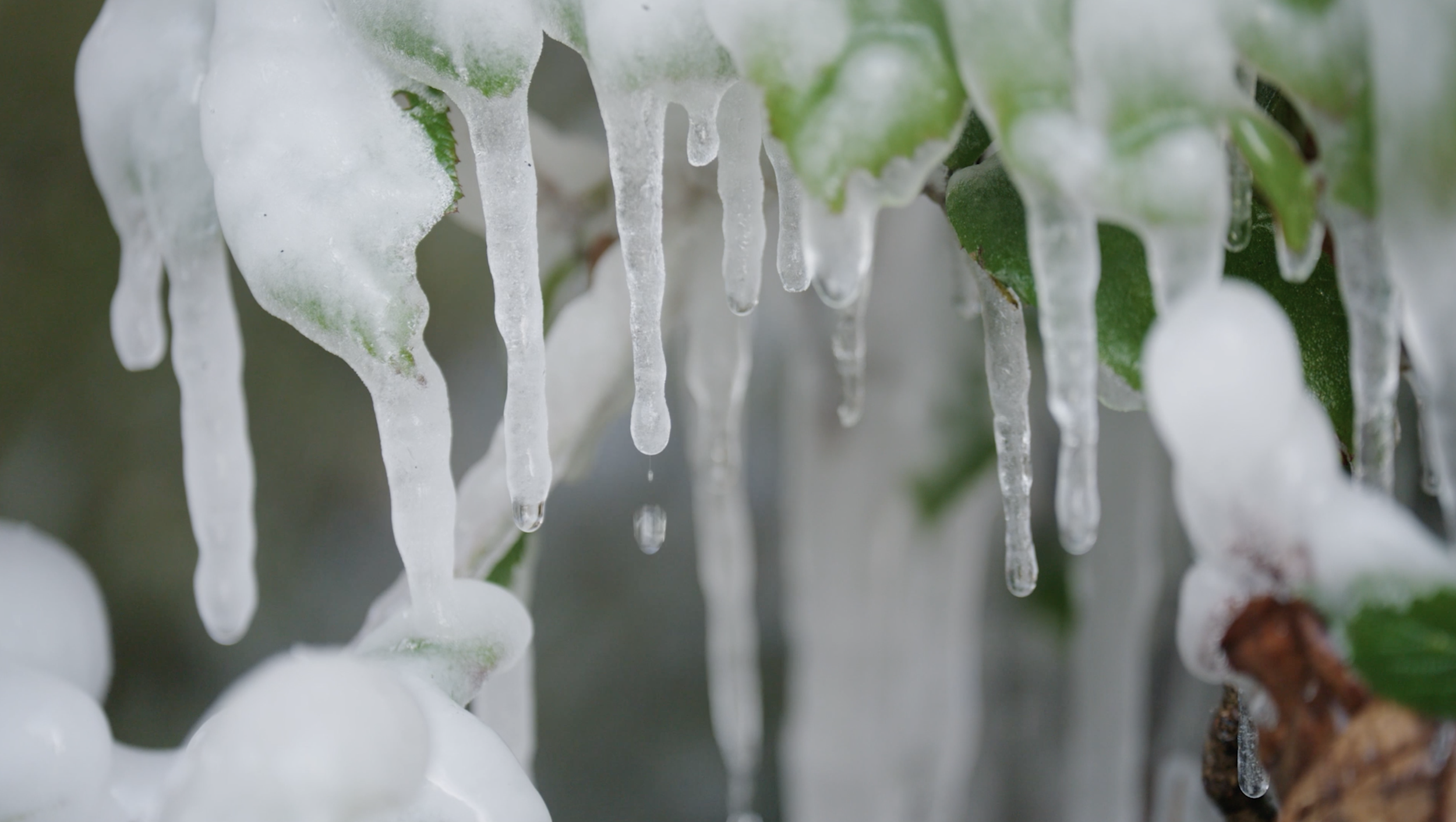 Screenshot 2023-11-21 at 16.52.49.png