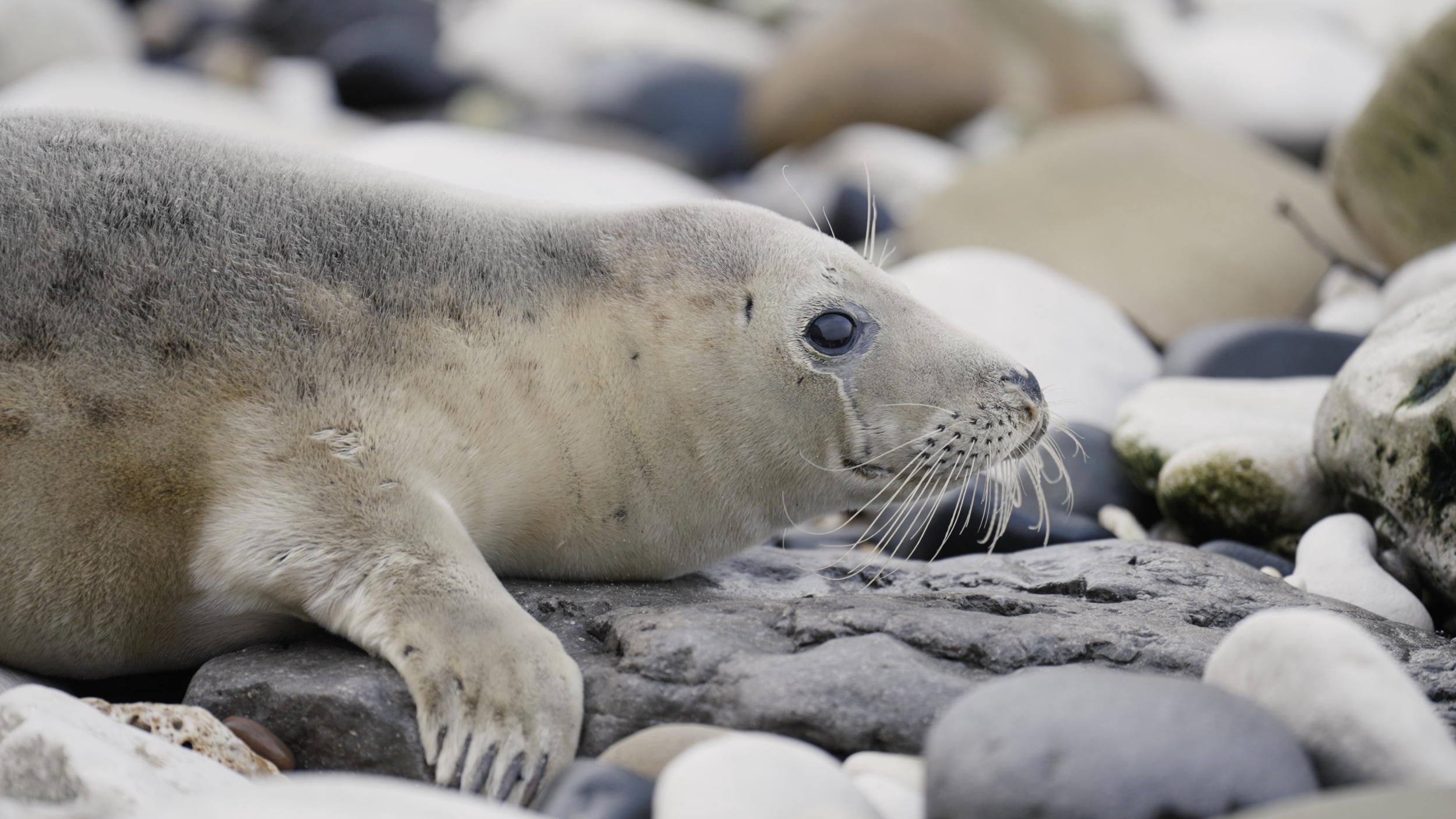 Screenshot 2023-11-22 at 11.43.09.png