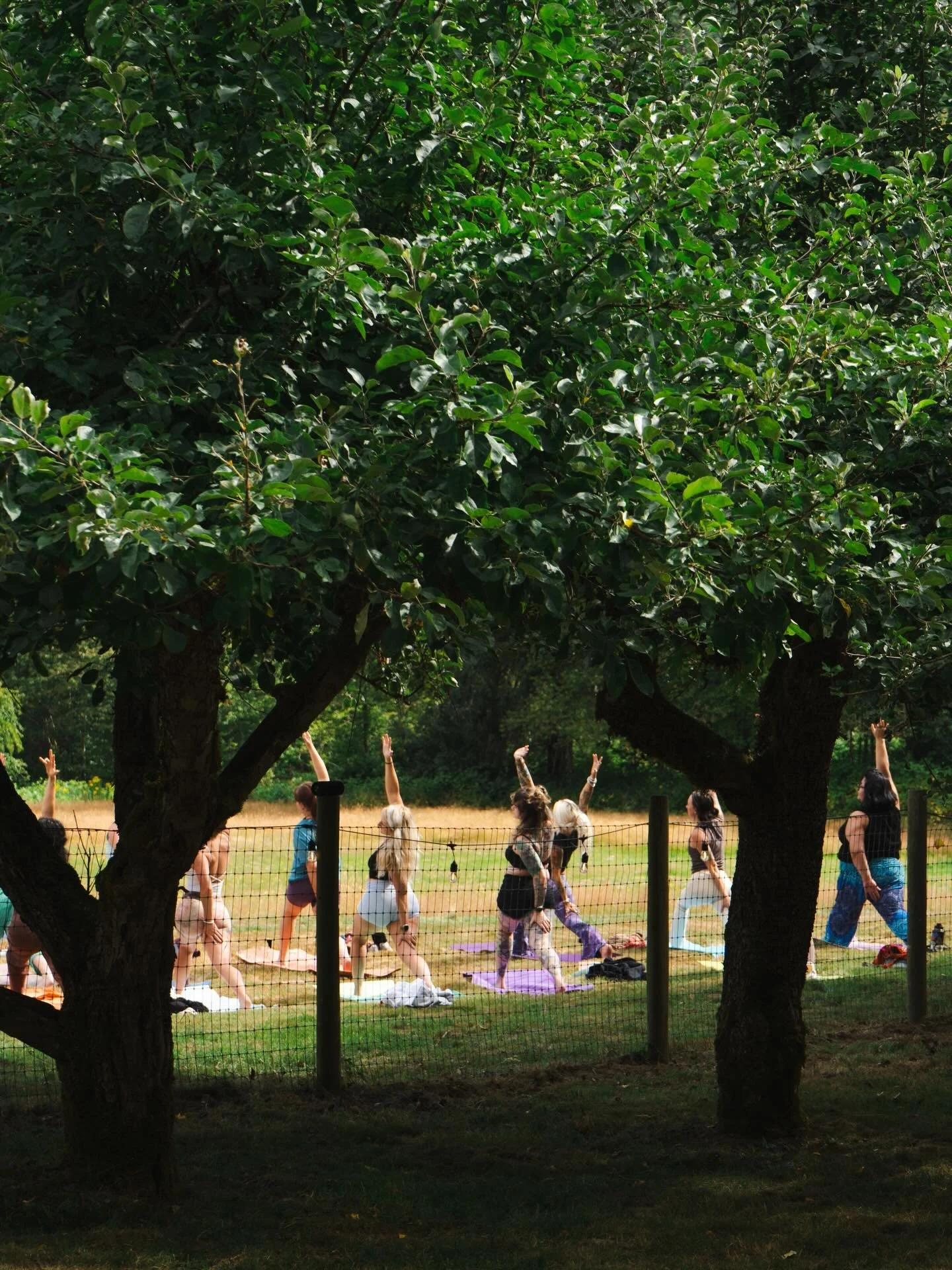 happy earth day!!! 

join us as we play &amp; move outside today, celebrating all the beauty and gifts of Mother Earth 💚

xxx embodied being team

&bull;
&bull;
&bull;
📸 @sarah_hays_