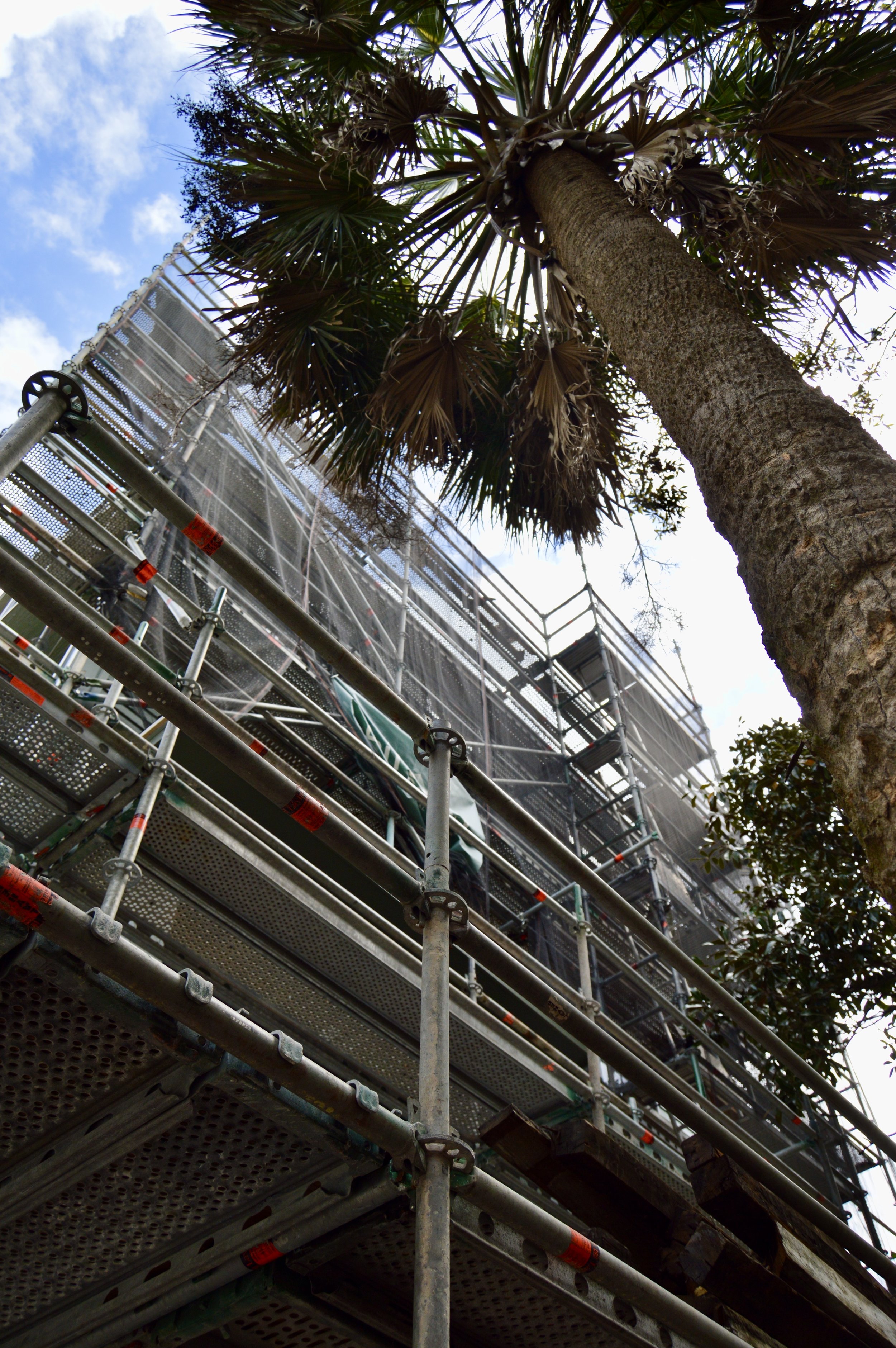 Photo Apr 09 2025, 10 52 23 PM.jpeg