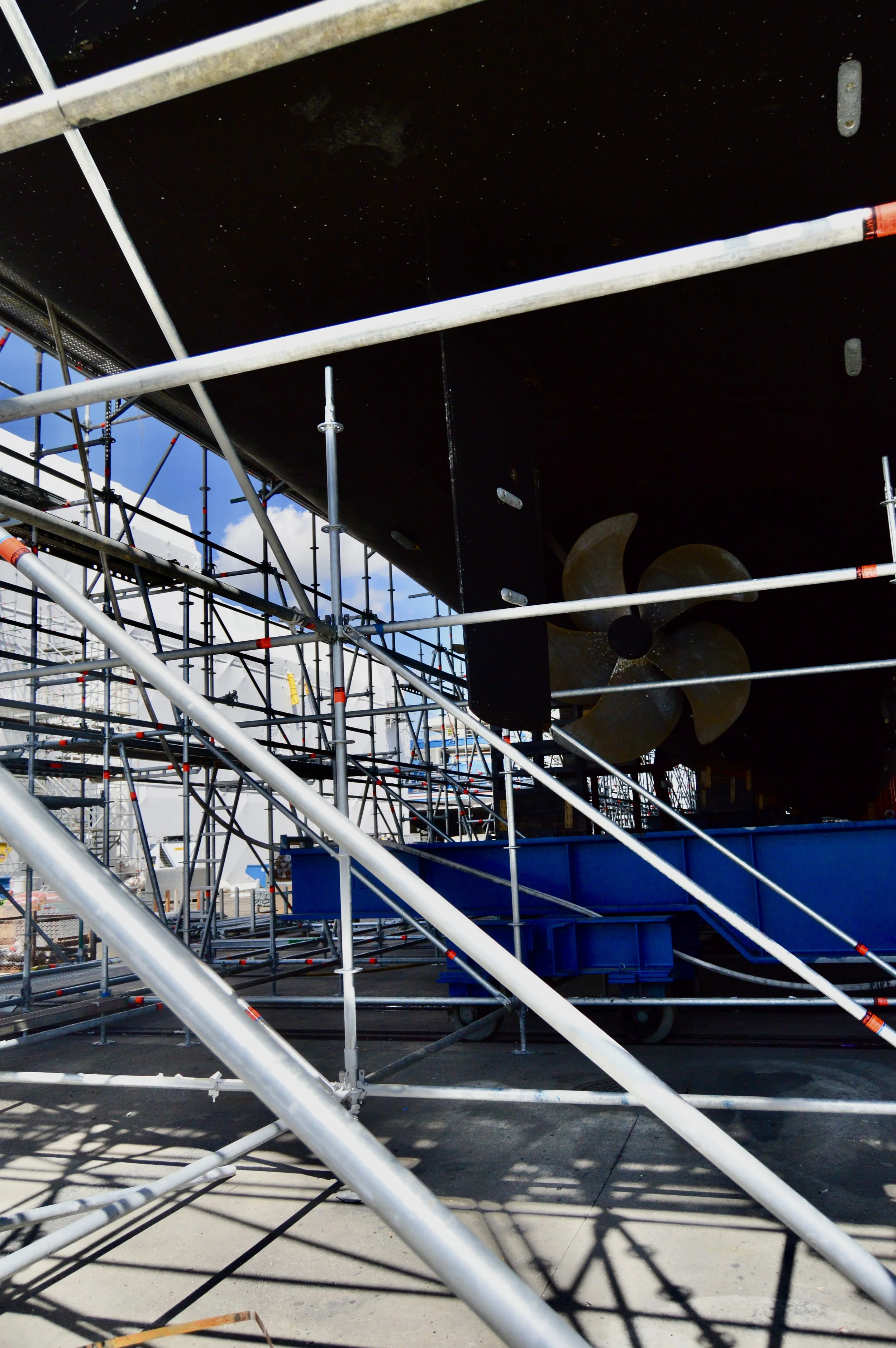 Photo Sep 25 2025, 1 15 44 AM.jpeg