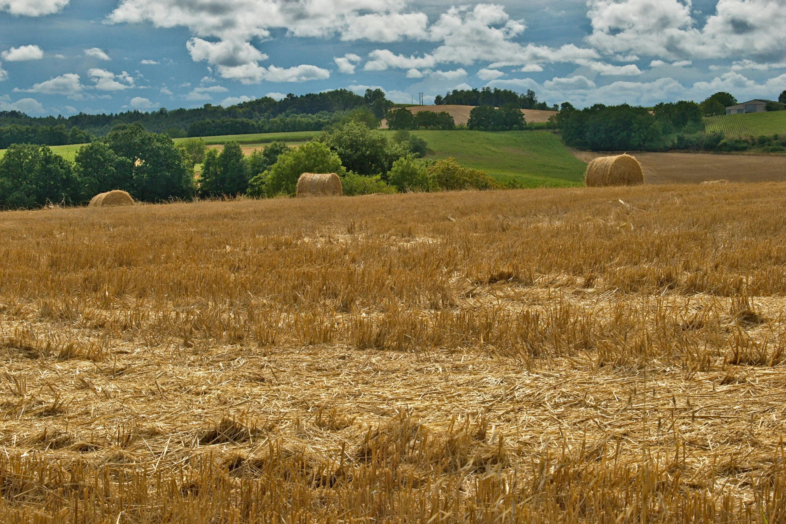 The Gers: Why Southwest France's Food Culture Is Different From the Rest