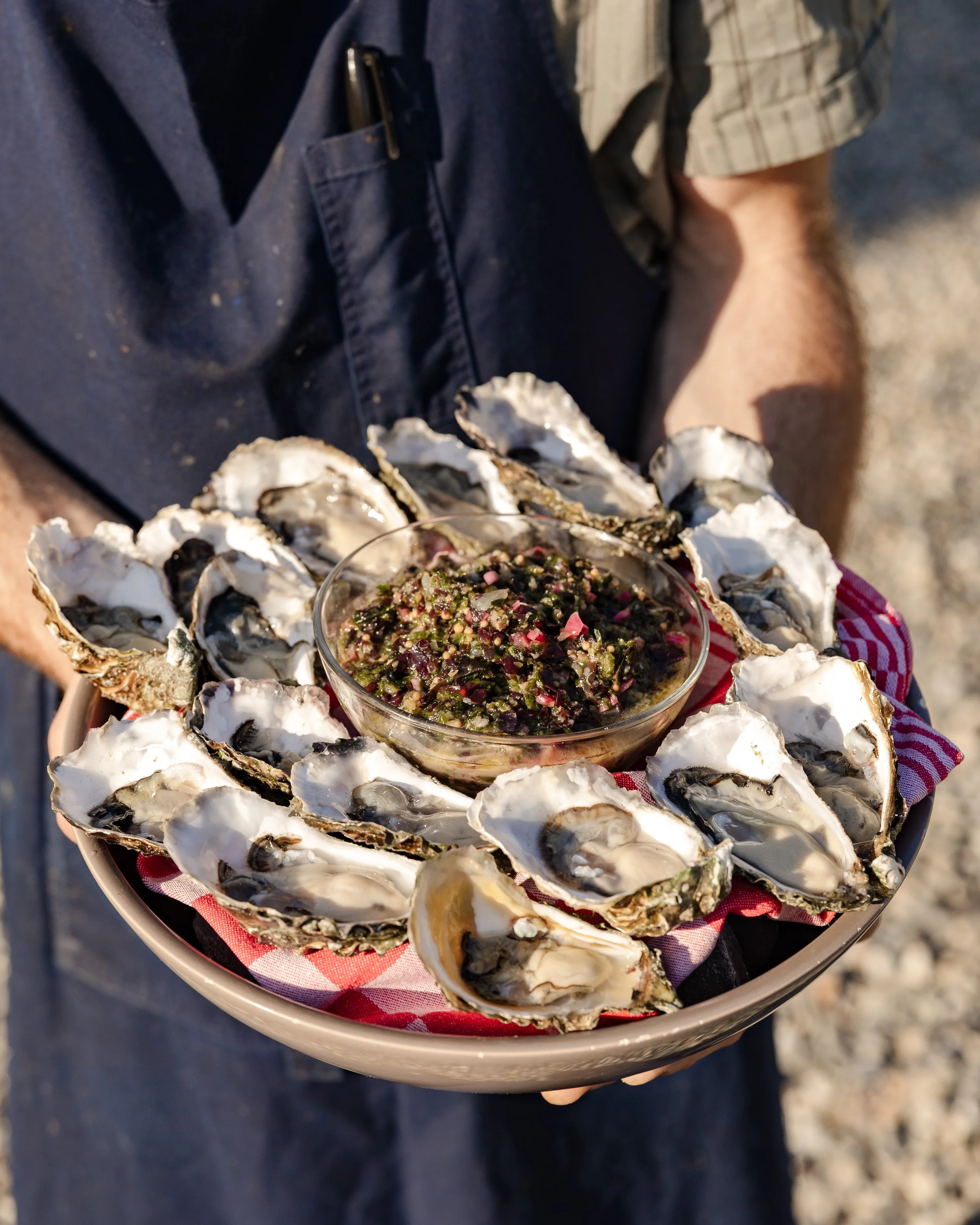 Oysters served fresh 