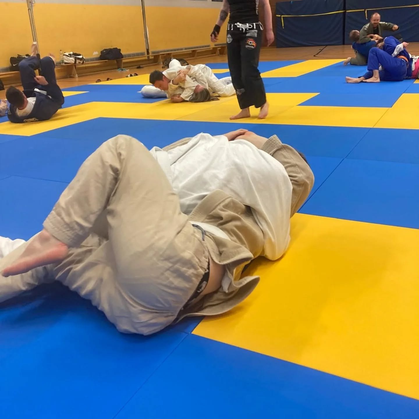 Montagabend = BJJ-Time
Die Woche beginnt, wie sie soll: auf der Matte!
Technik, Sparring, viel Schwei&szlig; &ndash; und noch mehr Spa&szlig;. Danke an alle, die gestern wieder Gas gegeben haben!

Ob Einsteiger oder erfahren &ndash; bei uns z&auml;hl