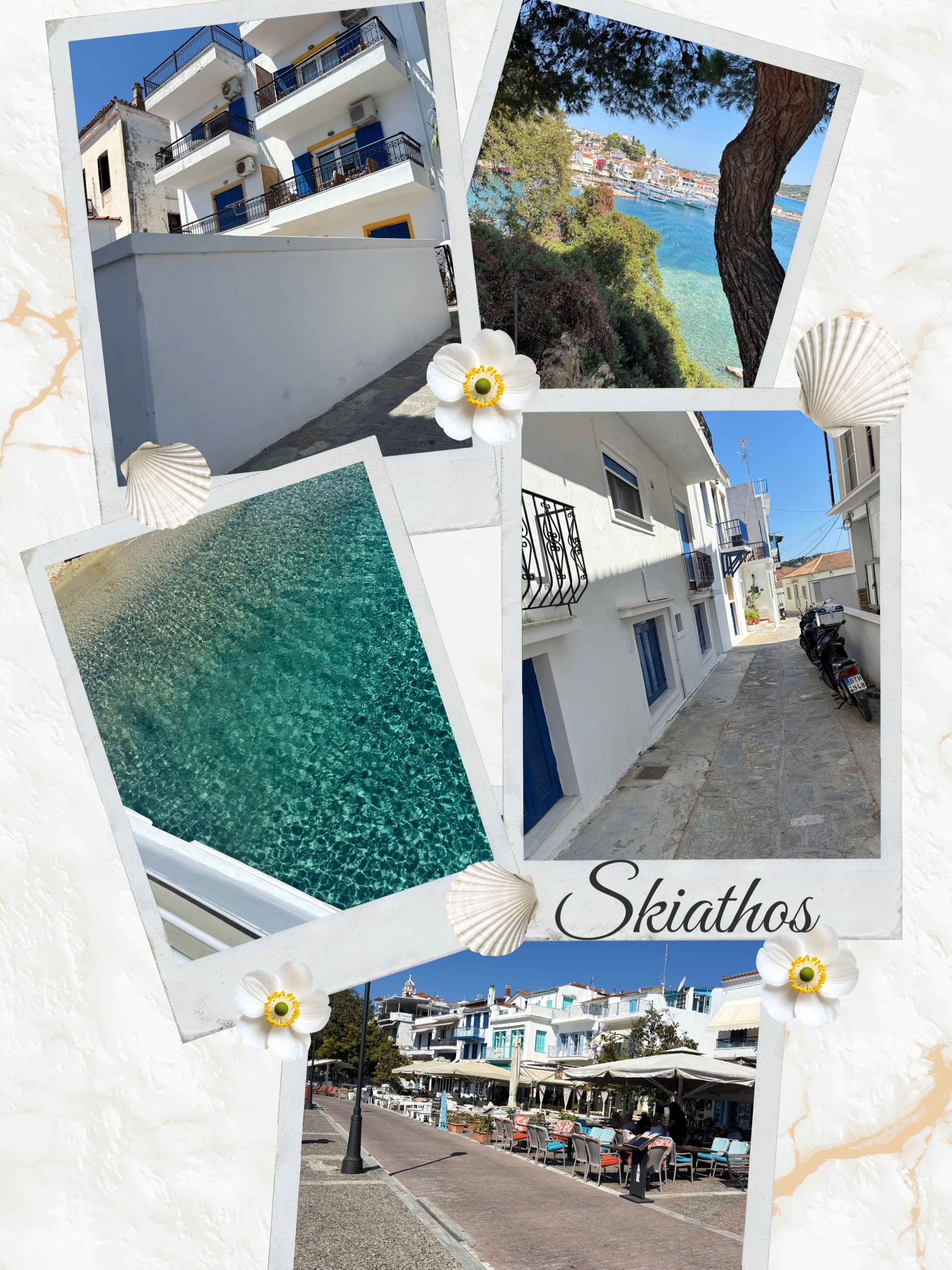 Nachdem wir das BJJ-Seminar am Wochenende geschafft haben ginge es heute mit @simon__gio nach Skiathos ( die kleine s&uuml;&szlig;e Stadt aus &bdquo;Mammamia&ldquo;) 🩵🐚. Danach sind wir mit der F&auml;hre, die uns auf die Insel gebracht hat, weiter