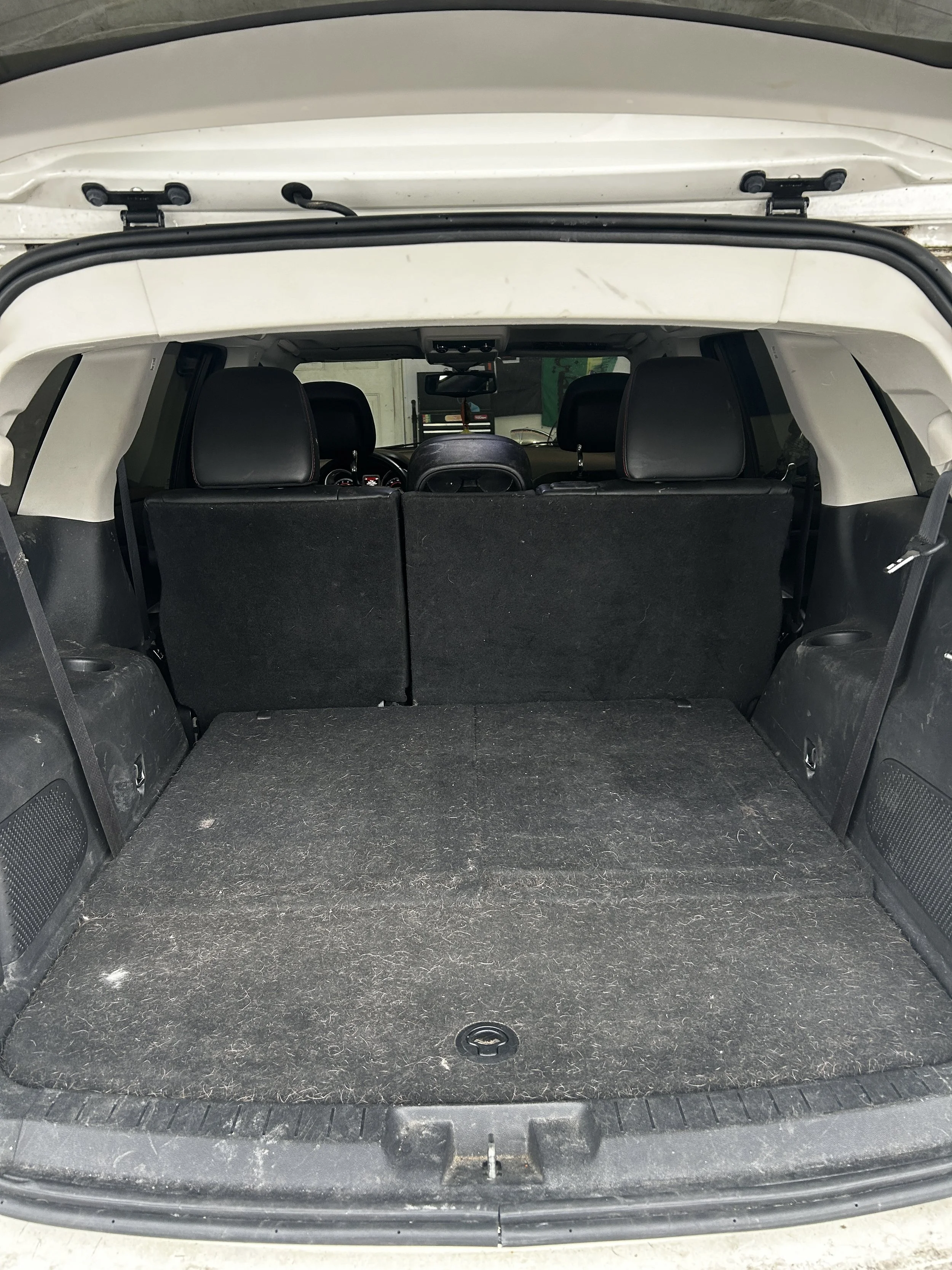 Pet Hair Removal Cleveland