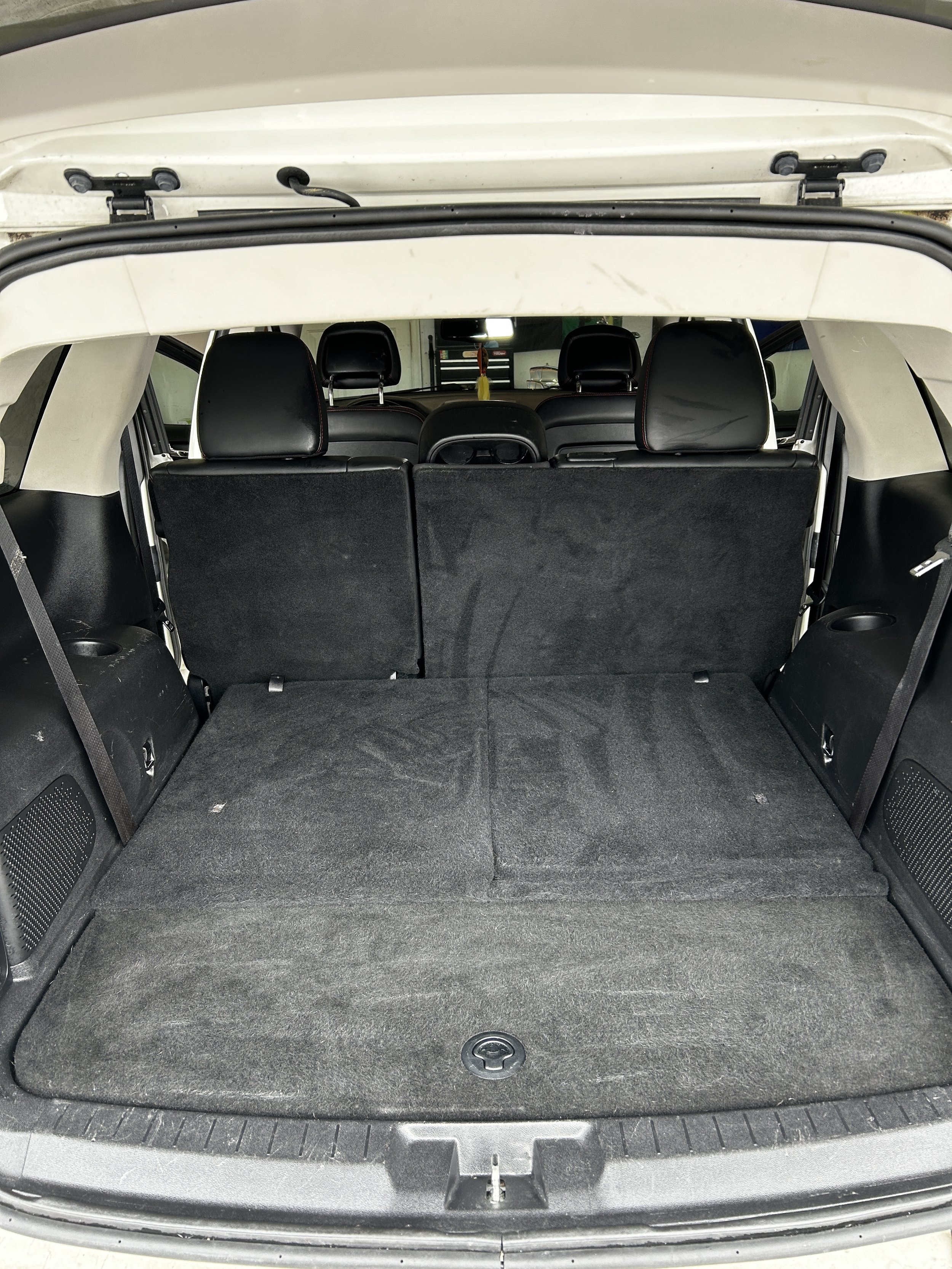 Pet Hair Removal Cleveland