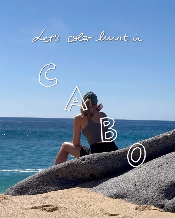 Save for your next vacay inspo palette 🌺