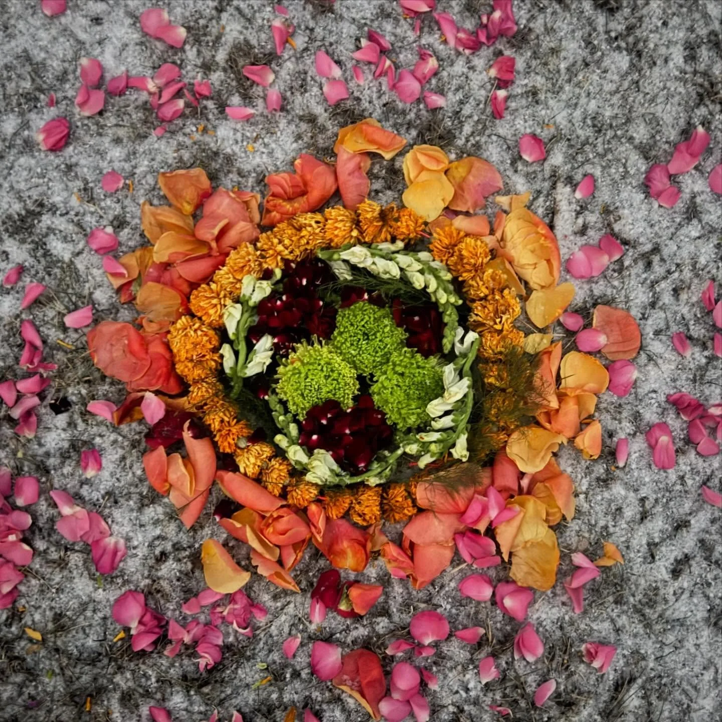 #churchoftheorangedot 🍊🌞 
that post imbolc ache 
first taste sun on skin then