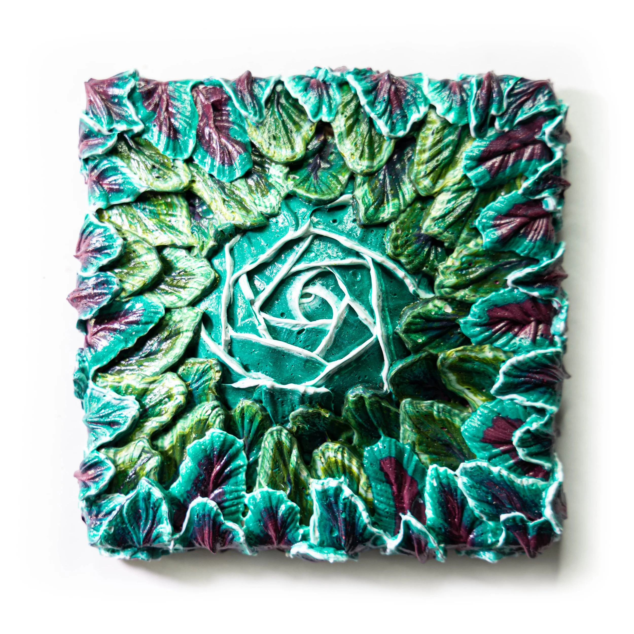 6 x 6 Calathea (1).jpg