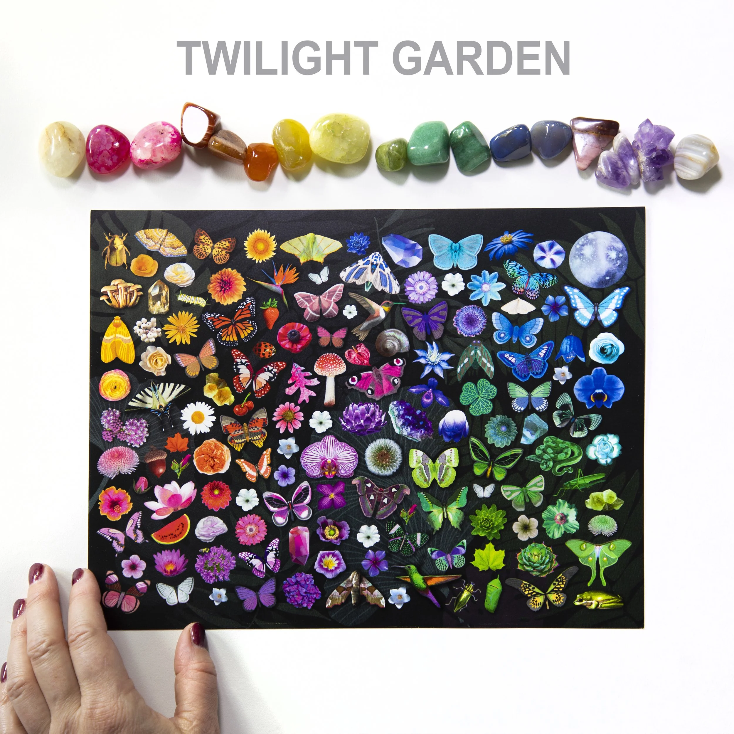 D TWILIGHT.jpg