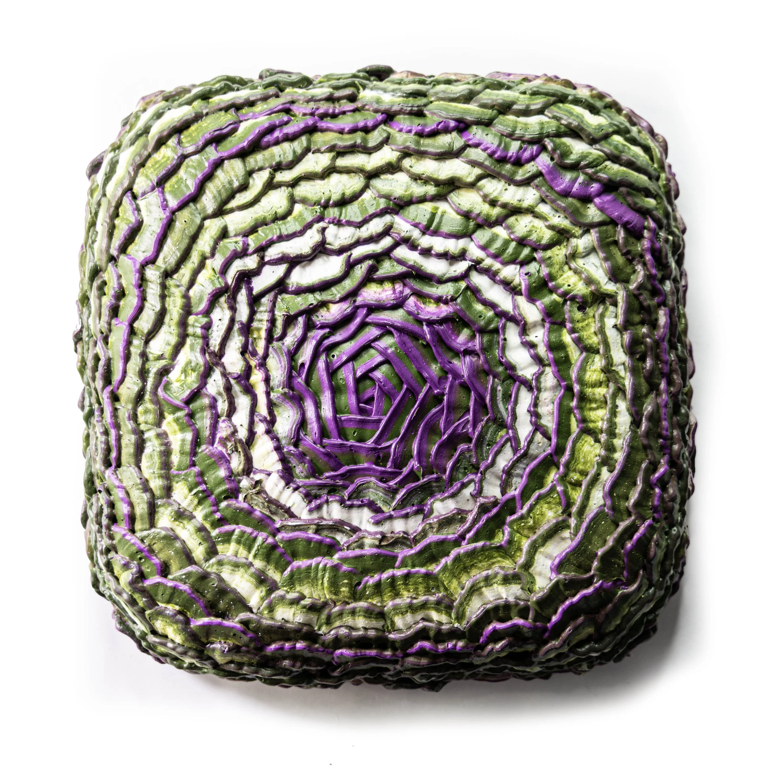 10 x 10 x 3 strange  bloom (1).jpg