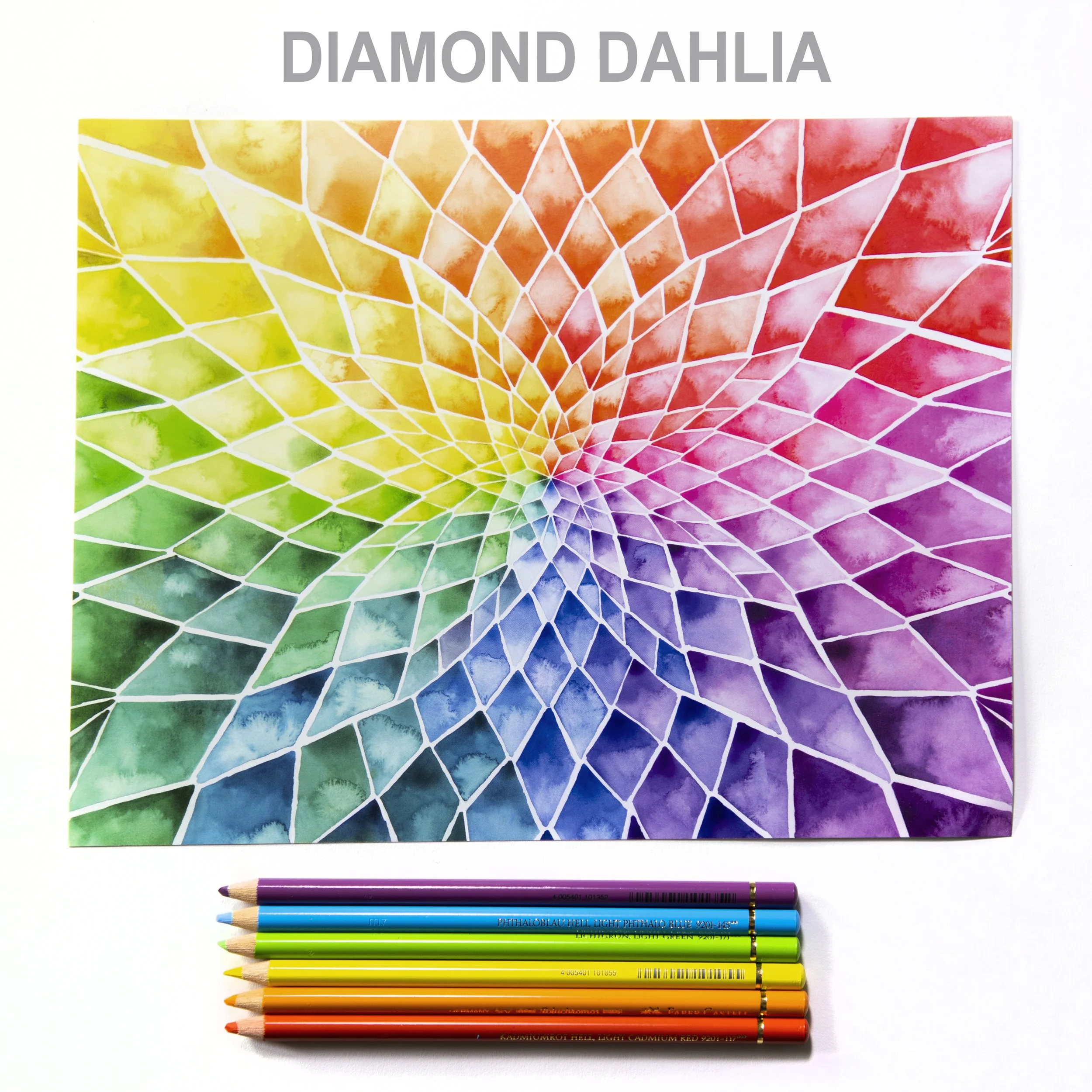 DAHLIA.jpg