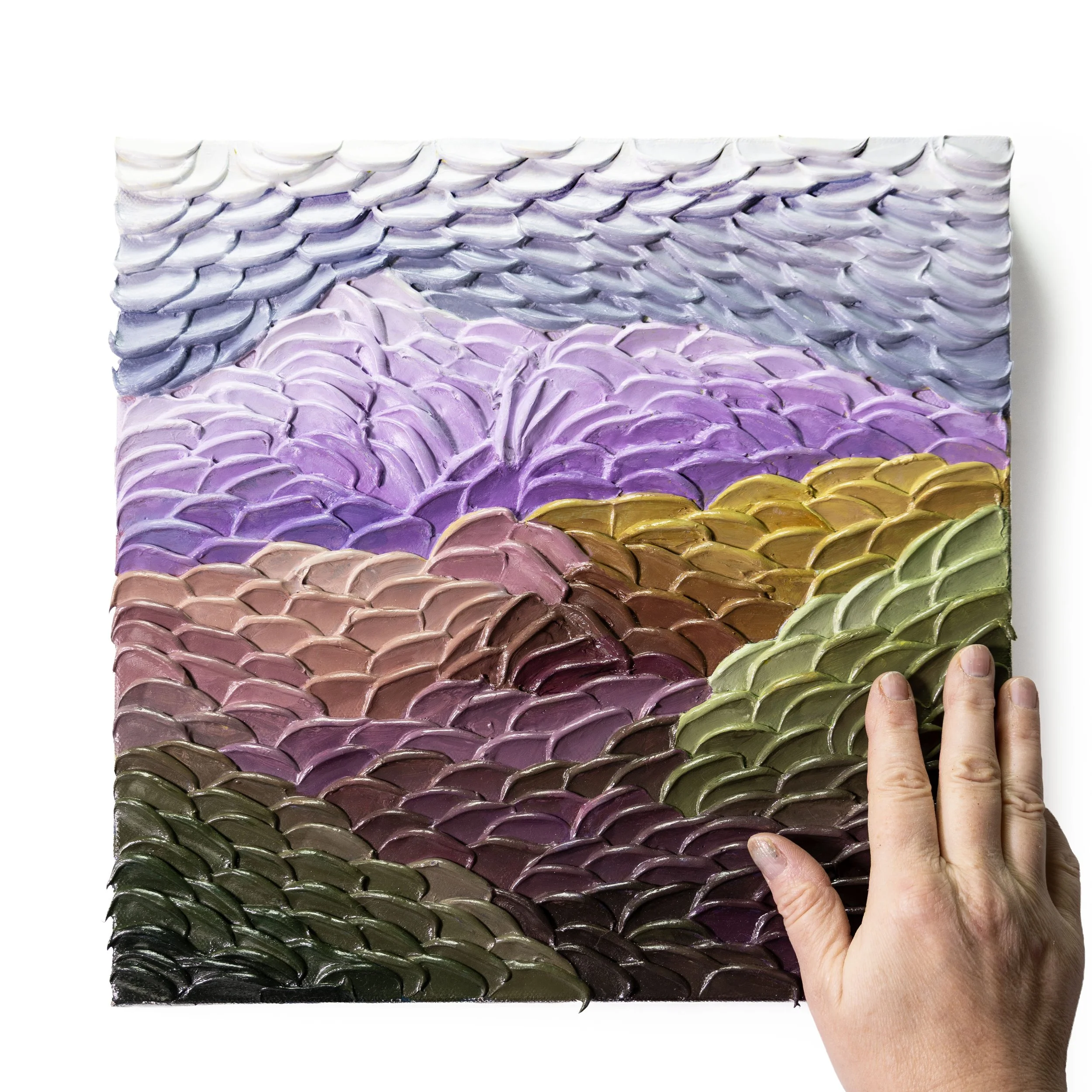 12 x 12 Shiimla (3).jpg