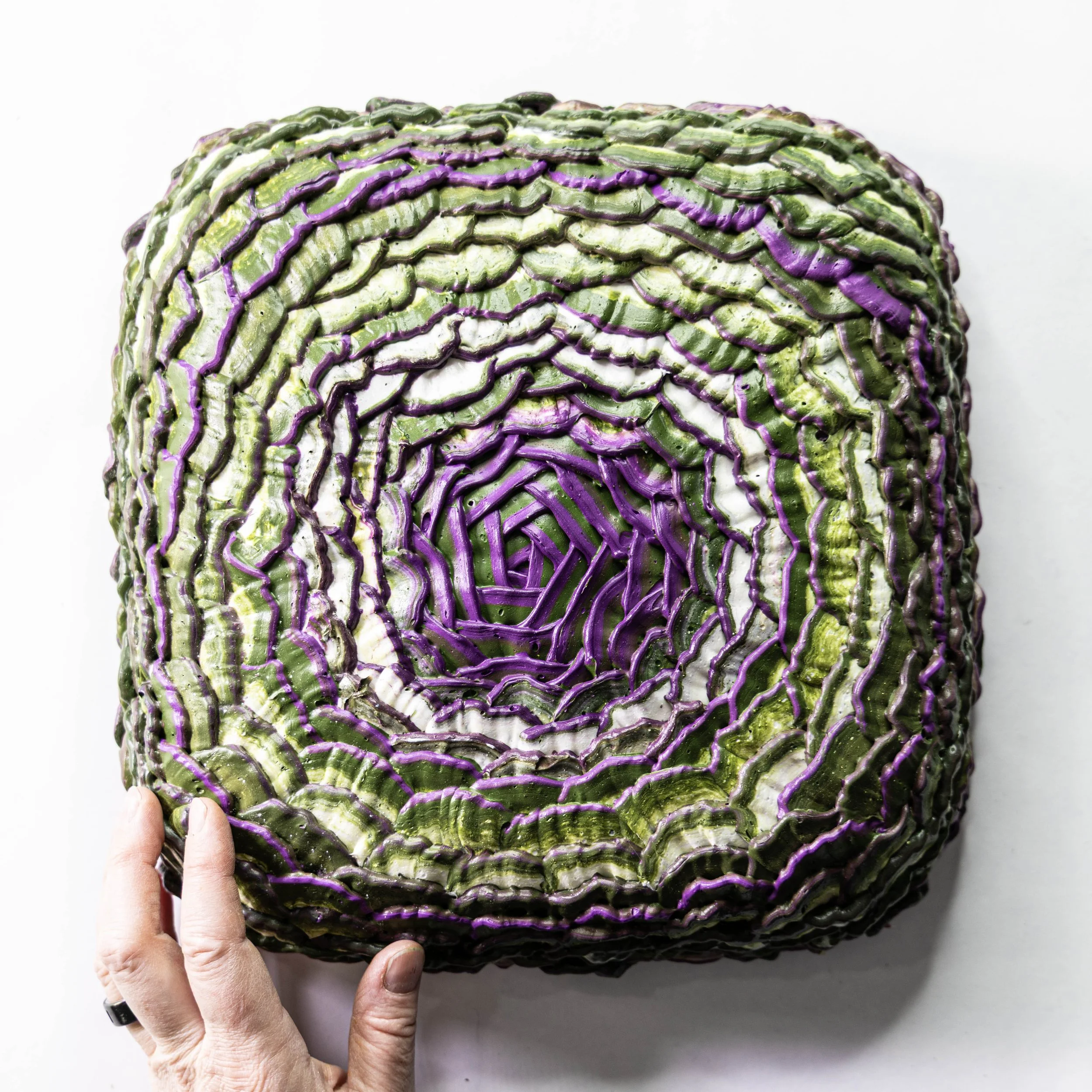 10 x 10 x 3 strange  bloom (2).jpg
