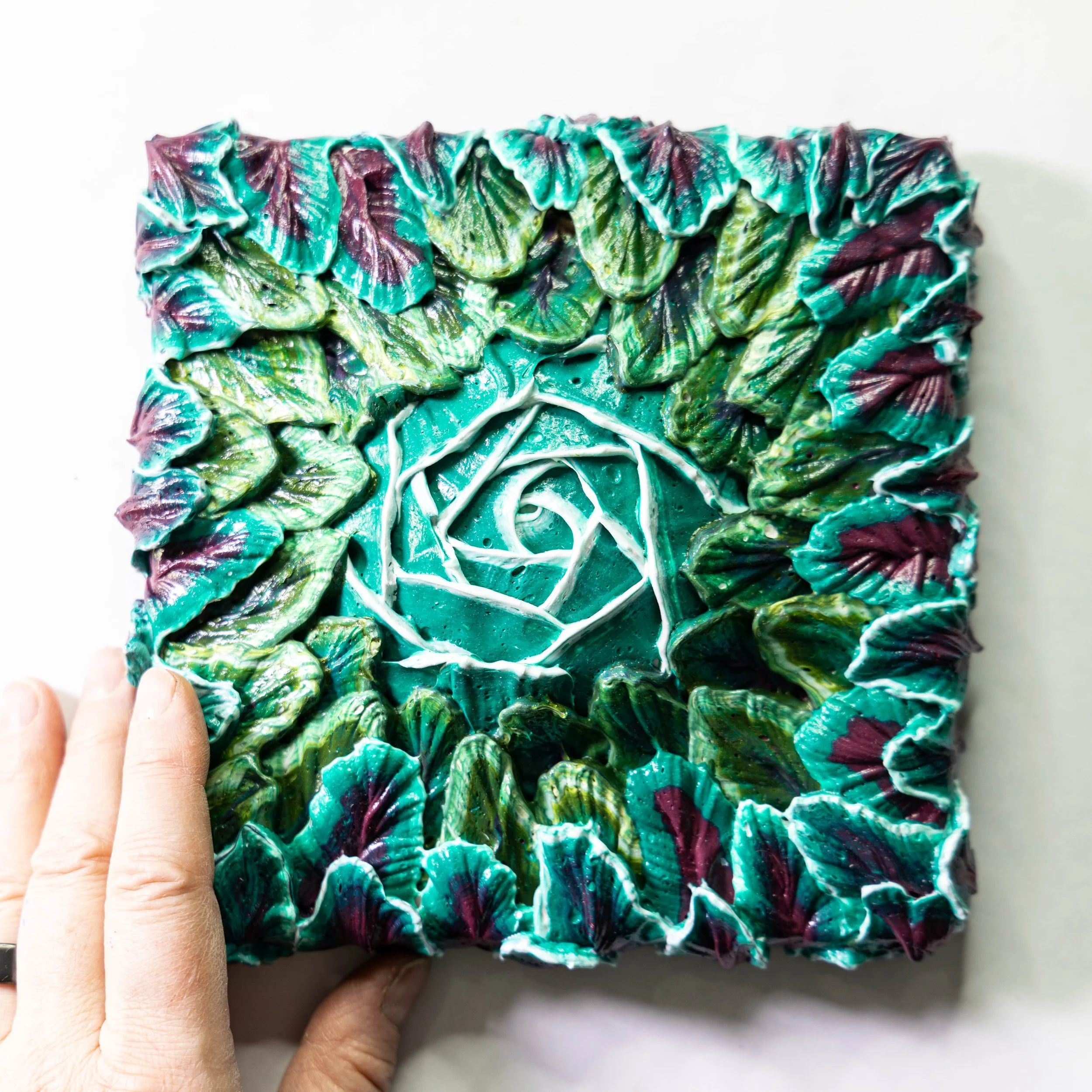 6 x 6 Calathea (2).jpg