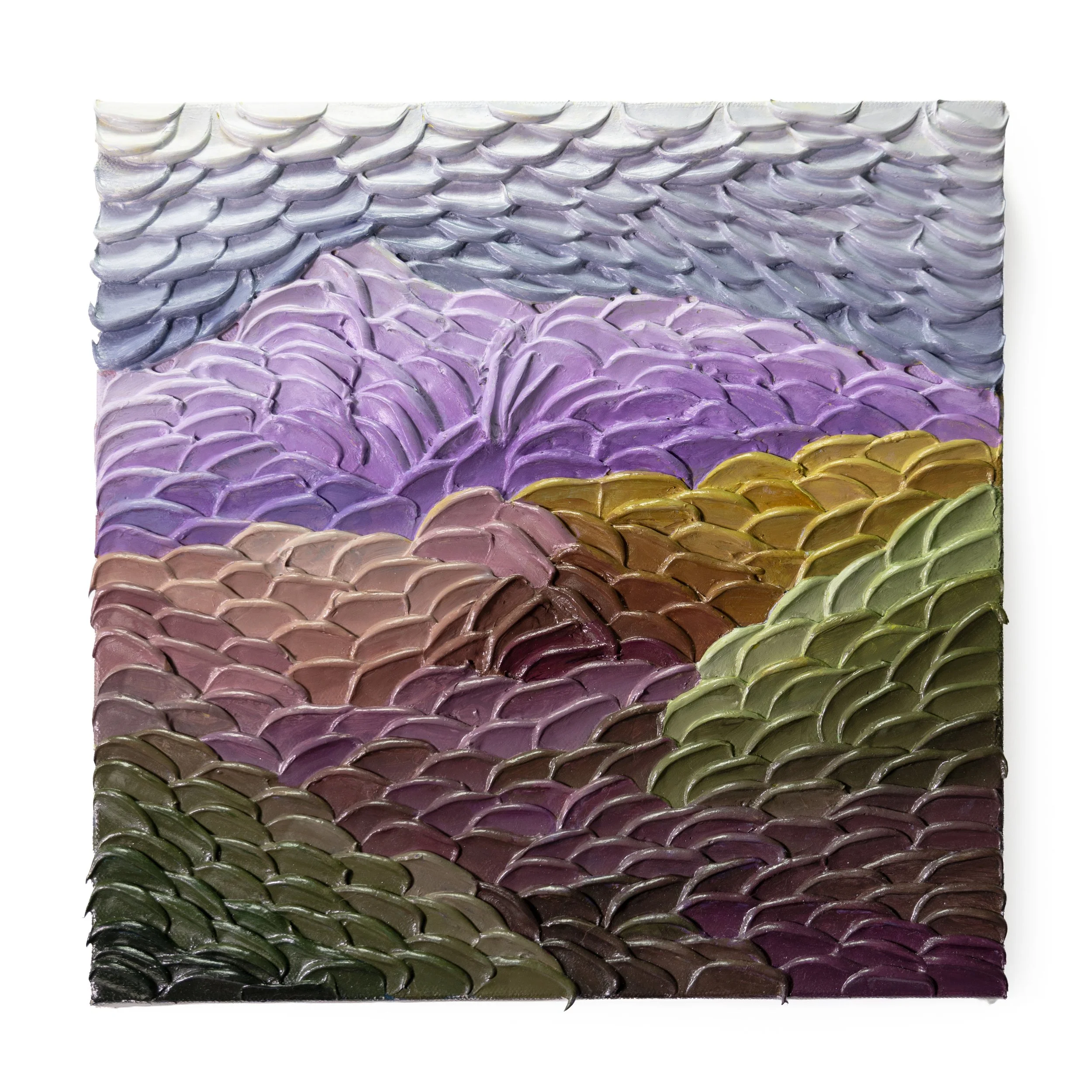 12 x 12 Shiimla (2).jpg