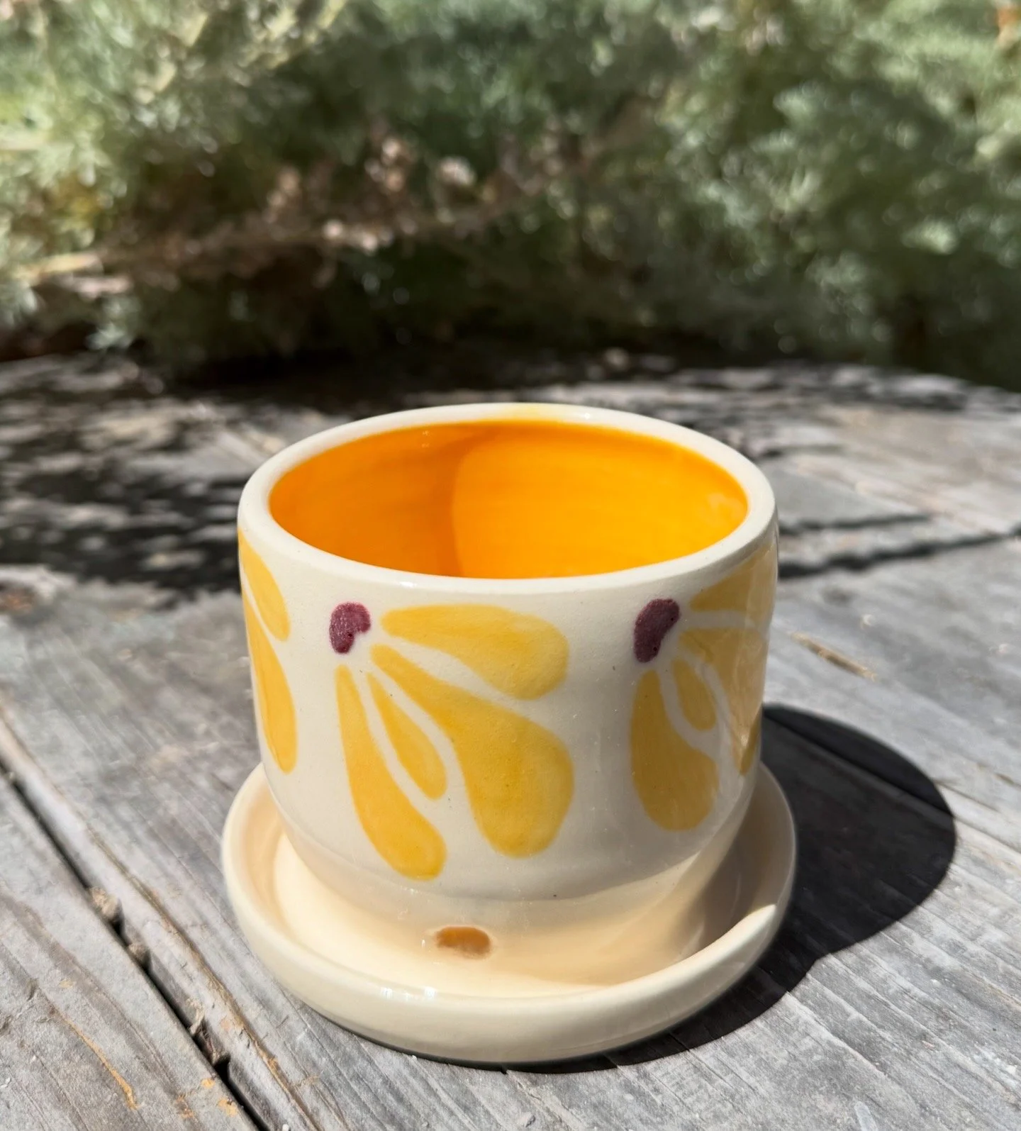 RAMONA PLANTER #2