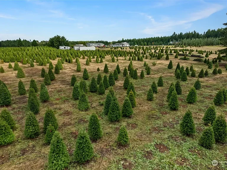 Dusty Ln propery view 2.webp