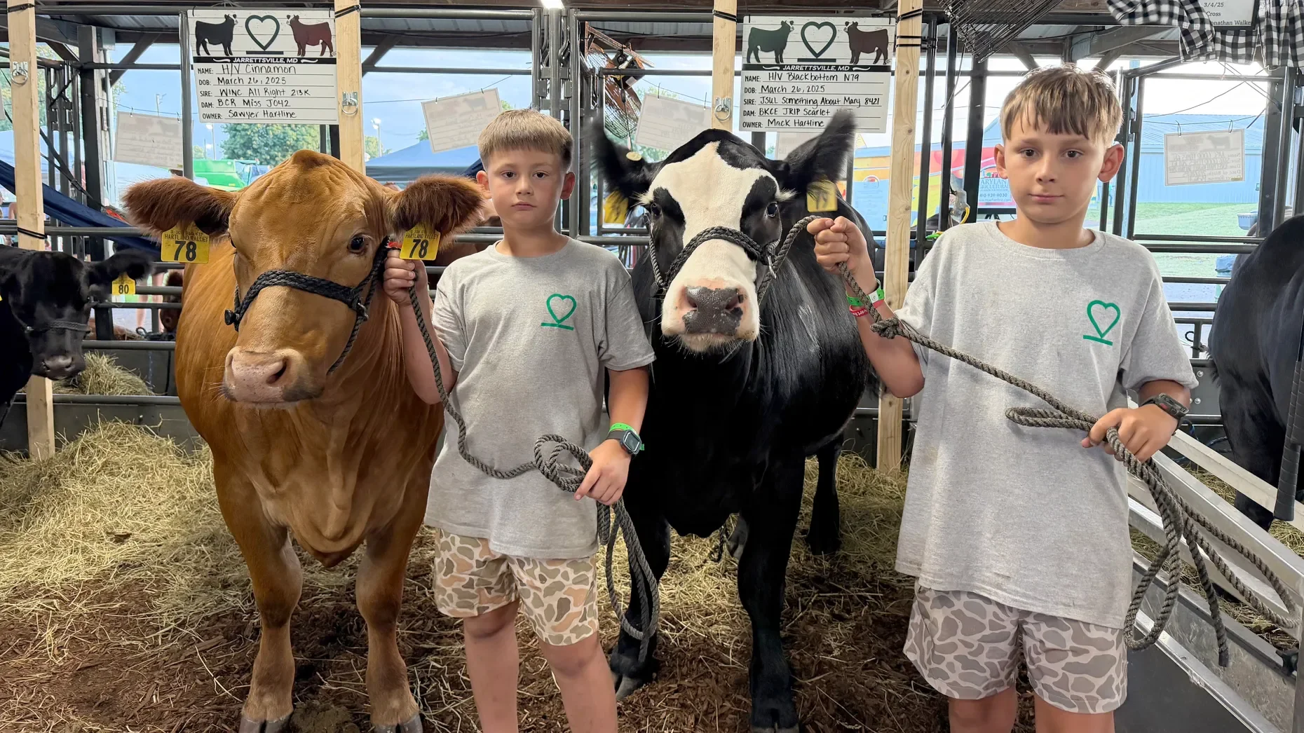 Sawyer, left and Mack Hartline stand next to their cattle at the Harford Farm Fair on Wednesday. (Luke Kaiser/Staff)