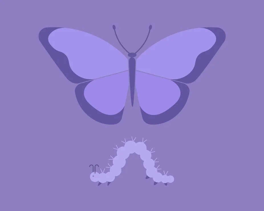 Butterfly-Style1-4-thumbnail.jpg