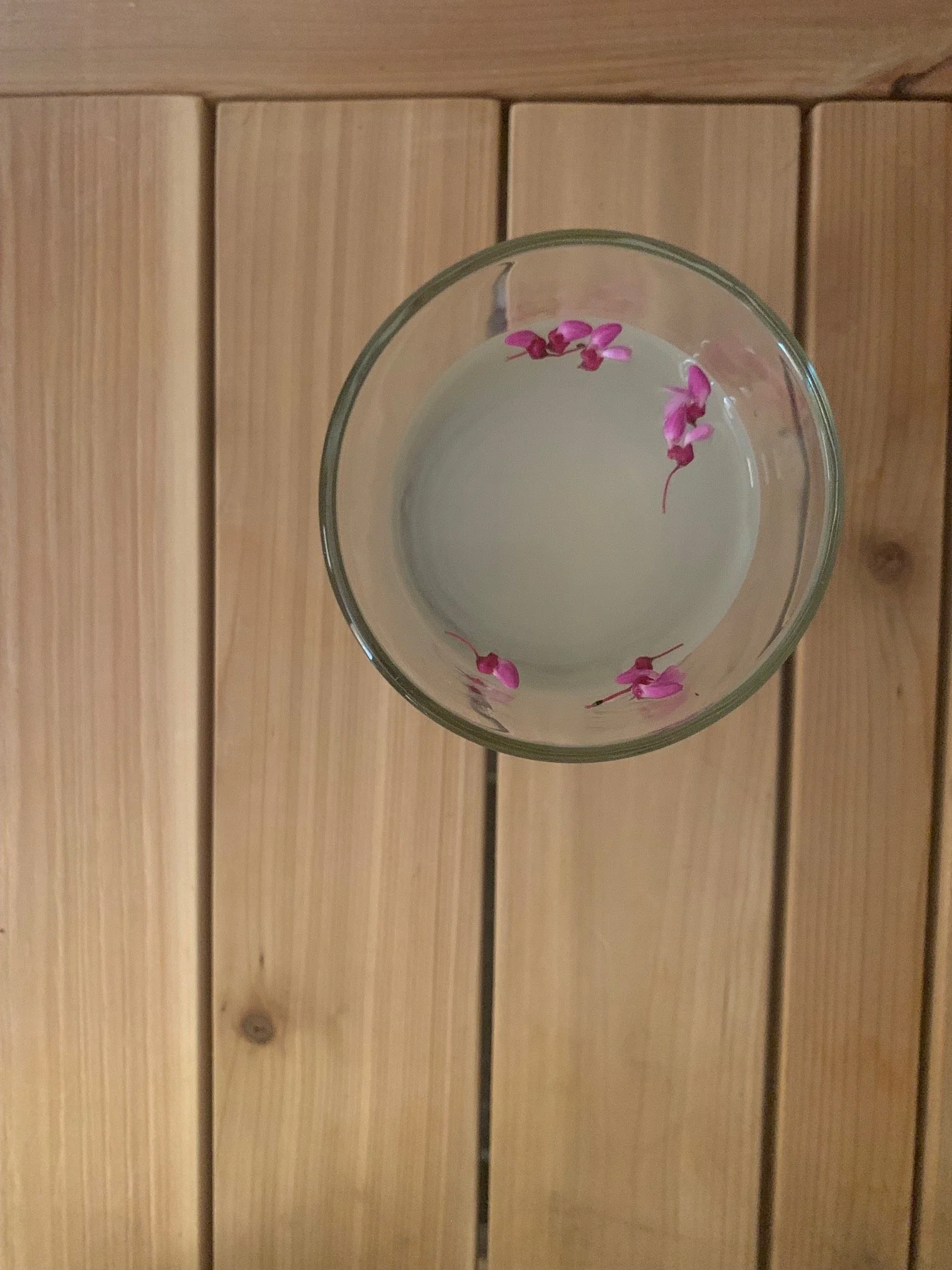 redbud water.jpg