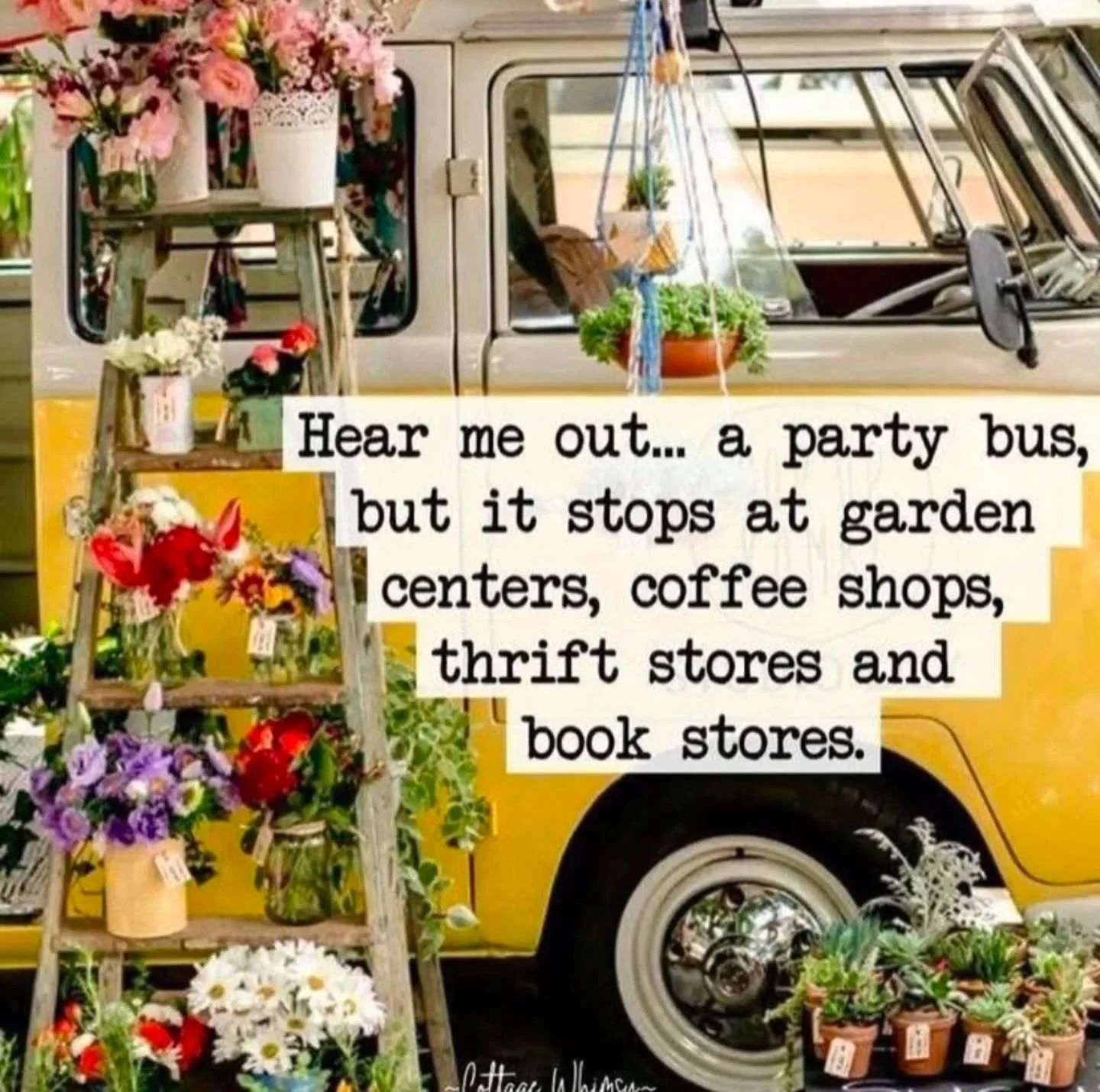 Wait a minute ... This is exactly what we do! 

Who's going with us? 

#LootinLuna #pnwlife #ThriftWithMe #plants #coffeelover #booklover