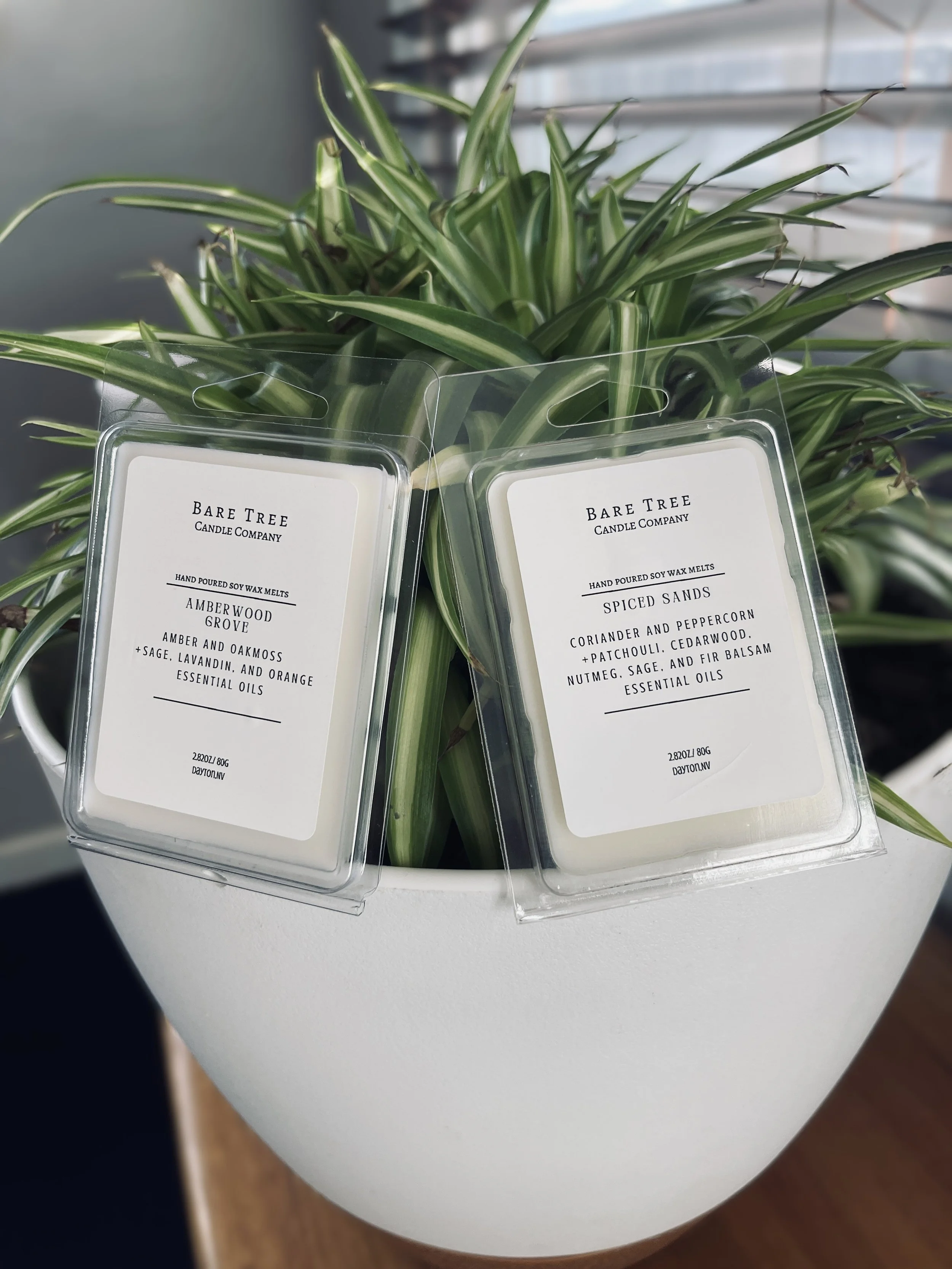 CLamshell prod. photo.JPG