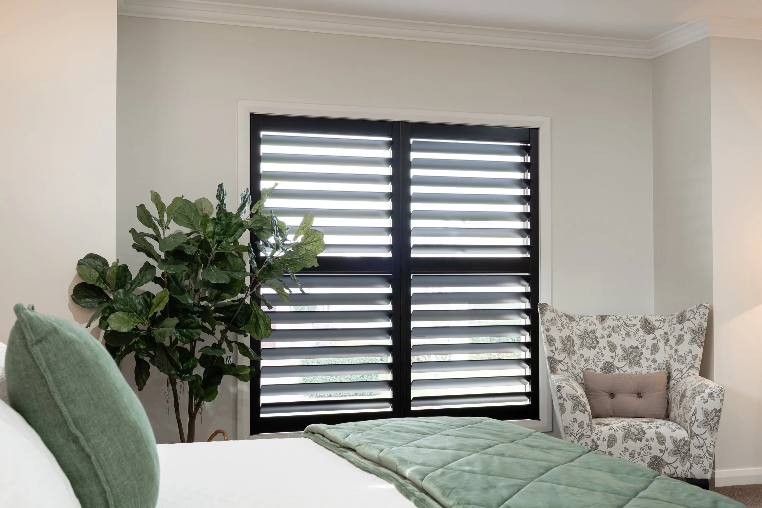 Black Shutters (1).jpg