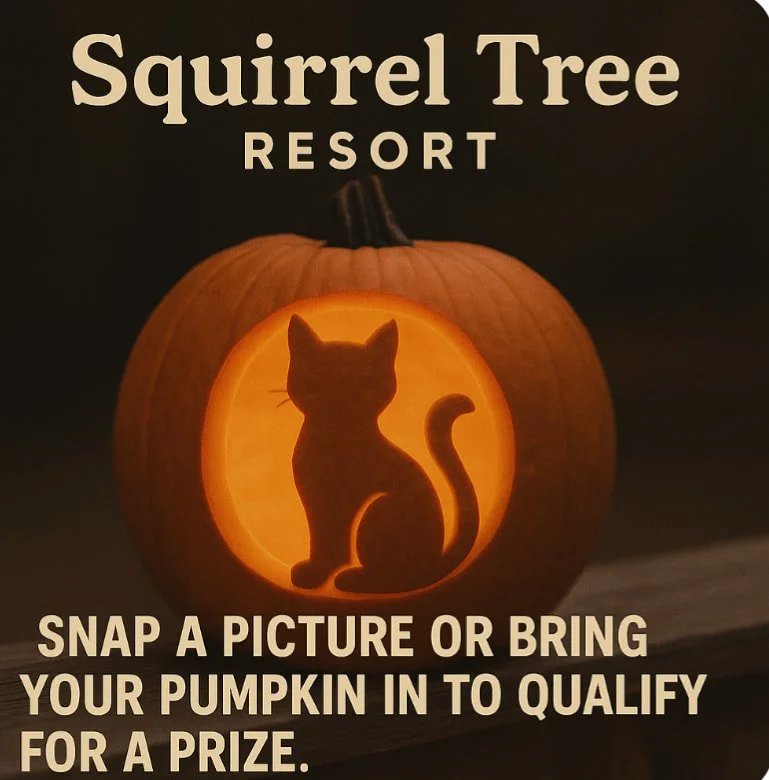 🎃 Pumpkin Carving Update! 🎃
While we had to cancel today’s Kids Pumpkin Carving Contest due to the weather, we still want to see those awesome creations! 🌧️✨
Carve your pumpkins at home, then bring them in to show off in person or post you