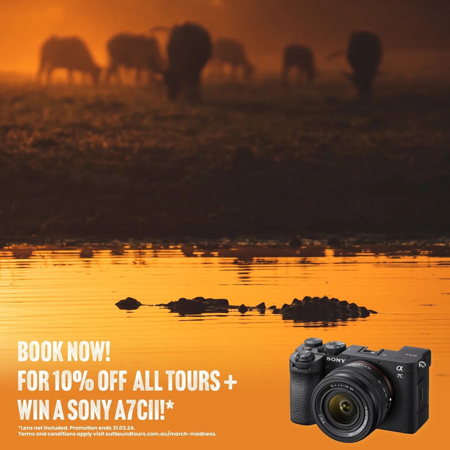 Only a couple days left of our March Madness sale ! 

All of our 2024 tours are discounted by 10% and purchasing a ticket enters you into the running to win a brand new Sony a7cii camera 🙌 

Head to the link in our bio to see our upcoming tours