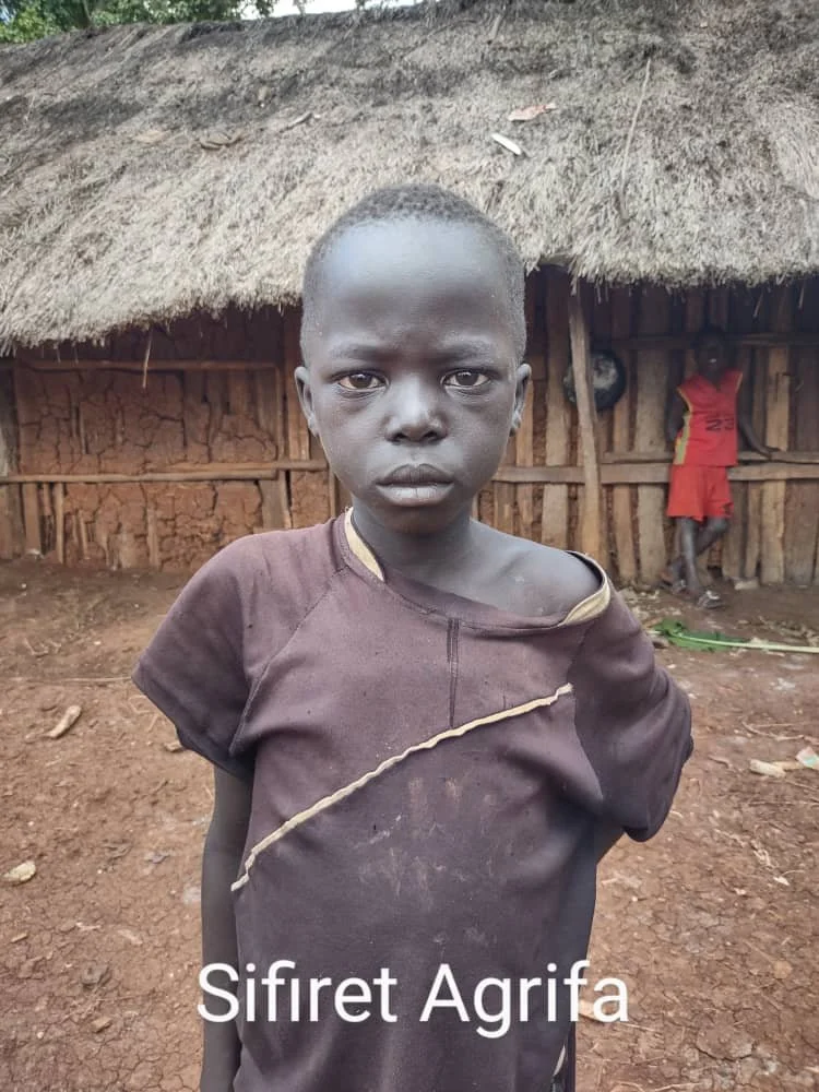 Sifiret Agrifa1.jpg