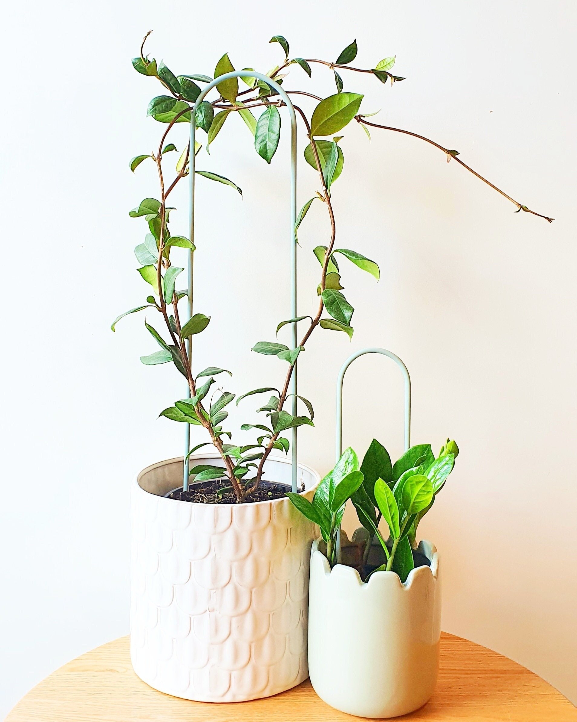 https://i.etsystatic.com/15784100/r/il/21086f/4102344431/il_fullxfull.4102344431_ntdo.jpg