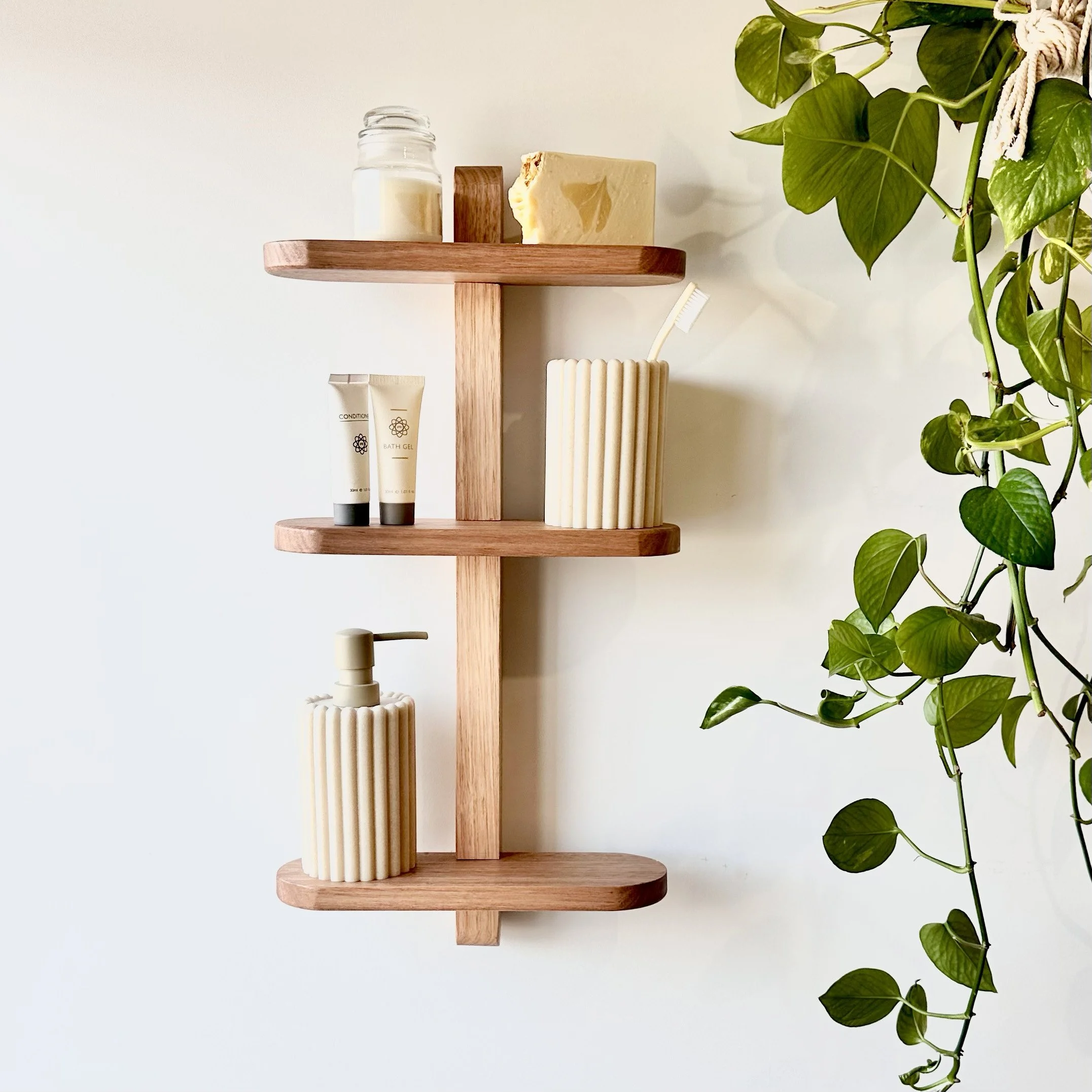 Wooden wall shelf with bathroom toiletries and a hanging plant.