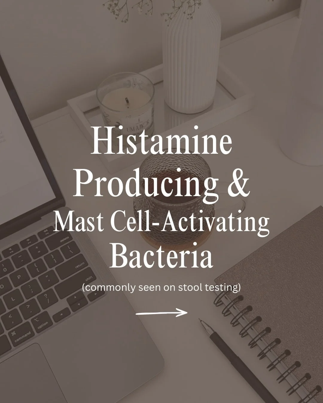 Certain bacteria found on stool testing are known to produce histamine or activate mast cells, two major players in inflammatory skin conditions like eczema, hives, and rosacea.

When these microbes overgrow, they can trigger redness, flushing, and i