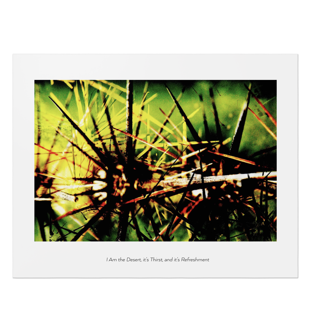 "I Am the Desert, it’s Thirst, and it’s Refreshment [Summer 5]" Open Edition, 22x28" Premium Poster