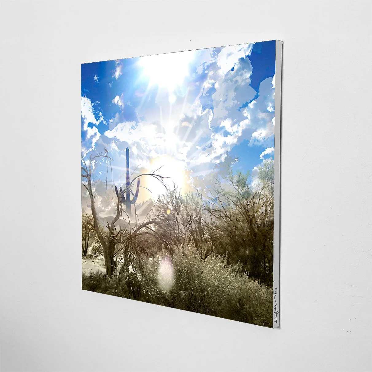 "I Am  Summer-  I Am  Conscious Awareness Having This Experience" Limited Edition, Giclee Canvas Print