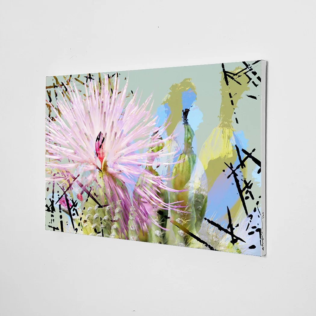 "I Am The Desert Spring of the American Southwest Wonderland  [Spring 2]" Limited Edition, Giclee Canvas Print