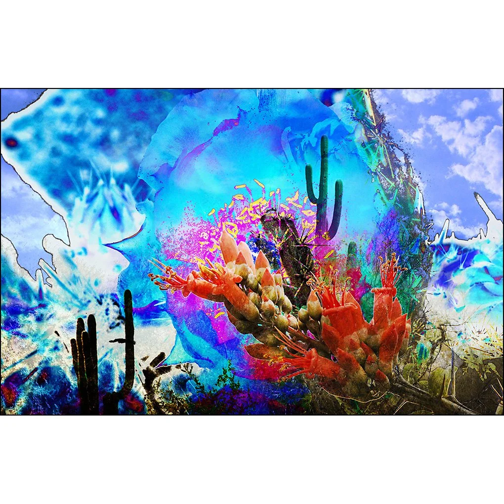 Awakening Art with  Bradford _ The Desert Abstraction Project Spring 3 I Am the Thickness of the Vegetation and the Depth of the Path Within Myself _ Digital Collage Art copy.jpg