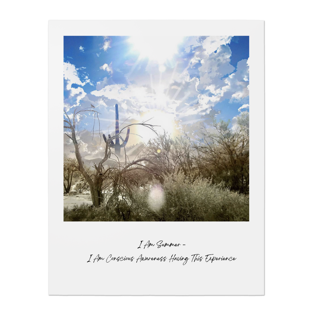 Awakening Art with Bradford | Arthur Bradford Klemmer | The Desert Abstraction Project I Am Summer | Premium Poster.png