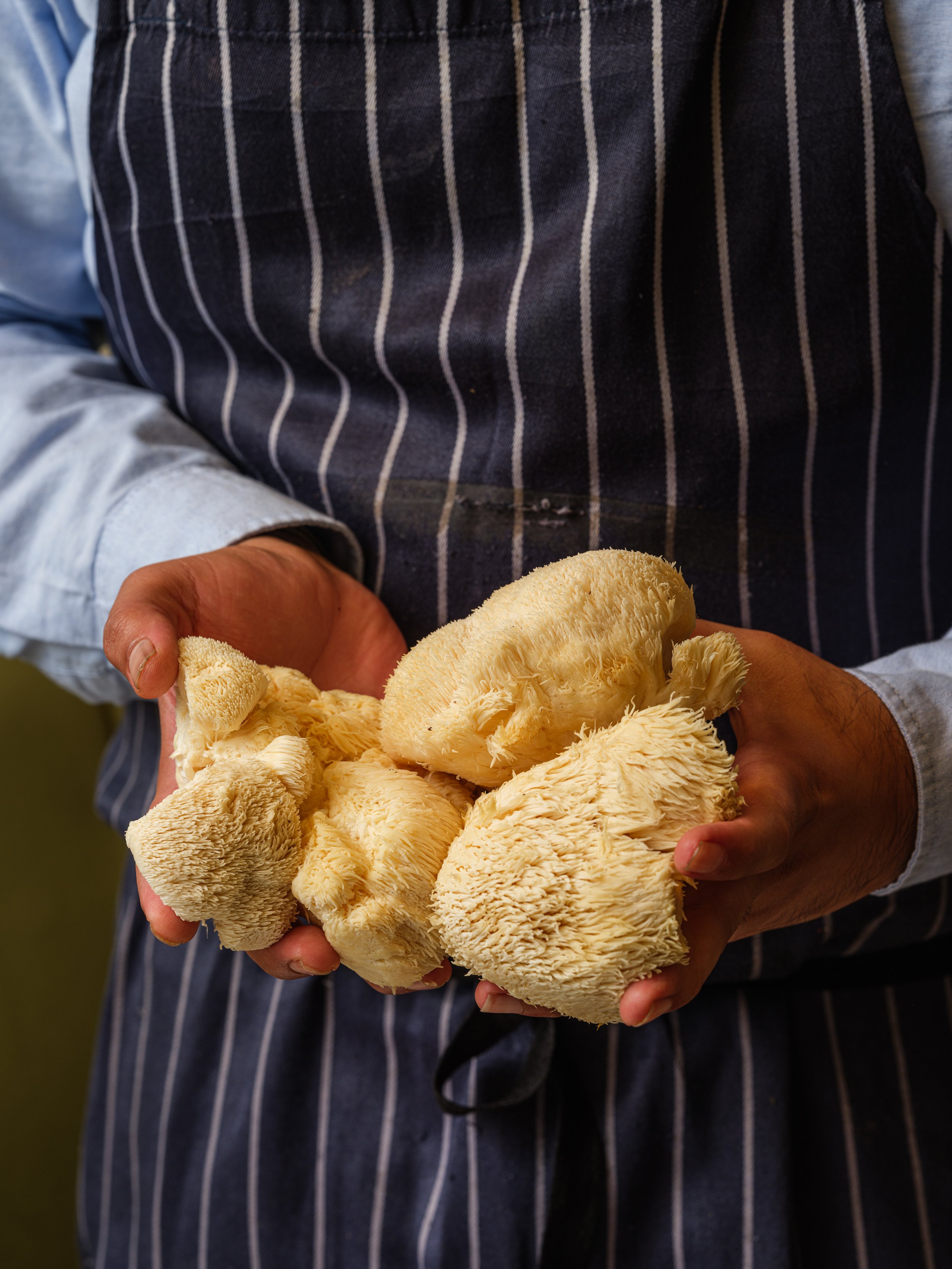 Chef Rishim Sachdeva wearing an apron with white vertical stripes holds a main mushroom. Date night at Tendril, Mayfair. Lunch, Dinner, Set Menu, A la carte, Gluten Free, Pet Friendly