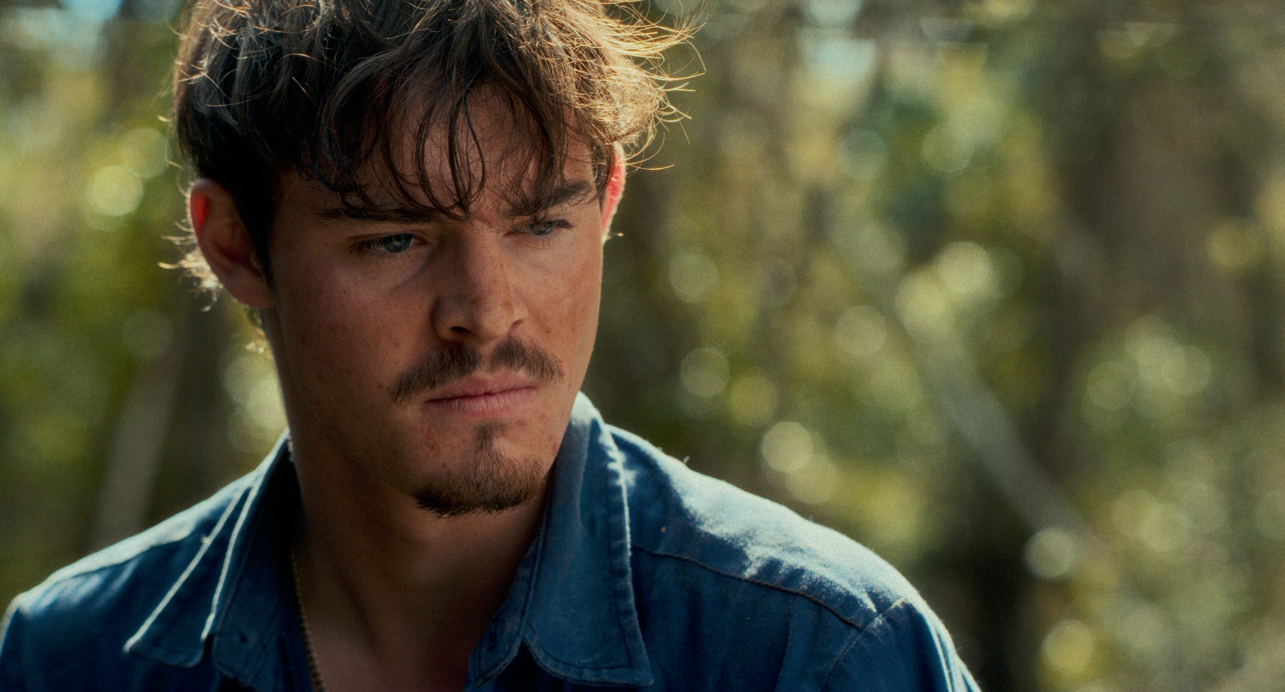 Screenshot 2025-11-17 at 4.03.44 pm.png