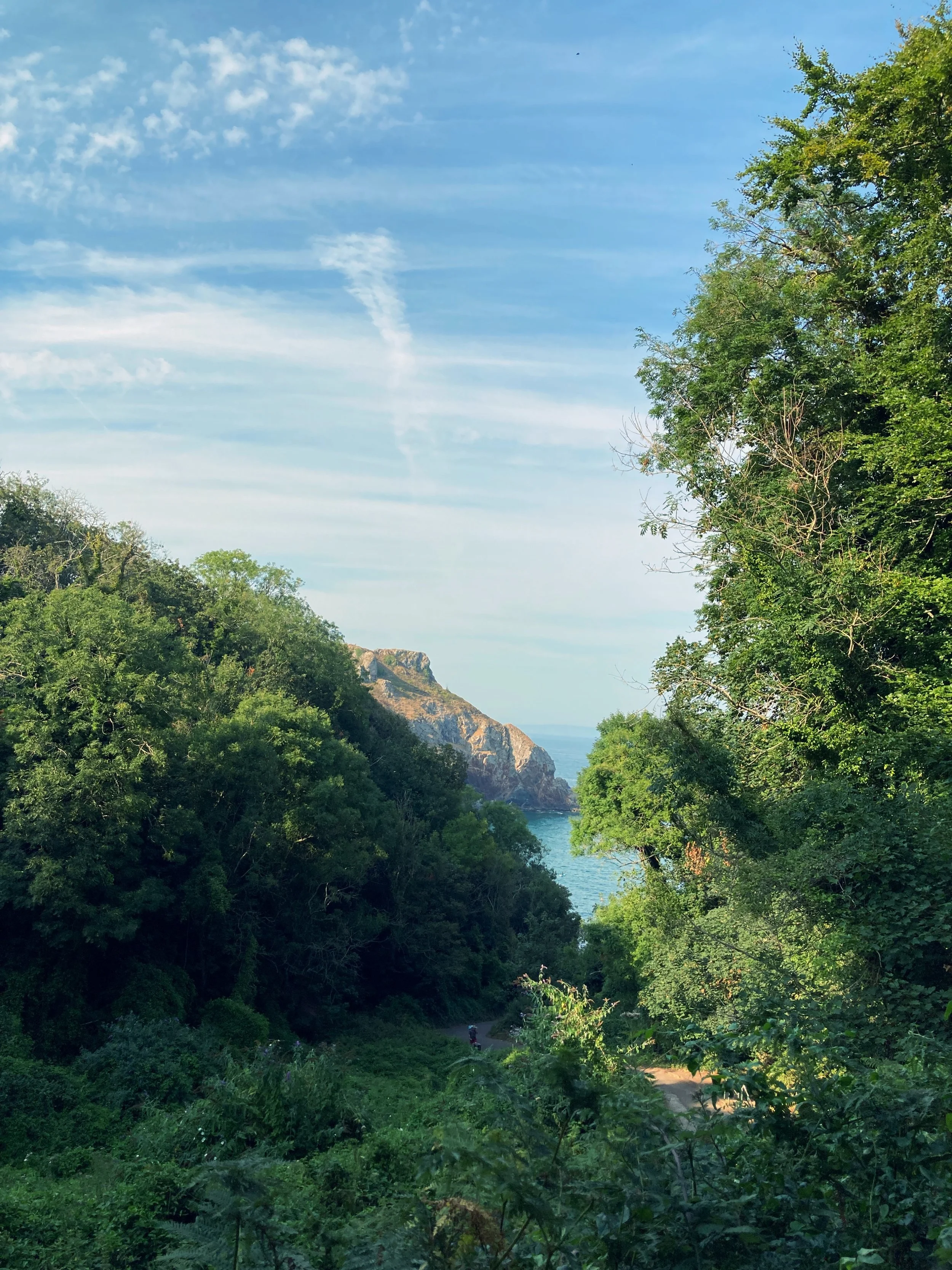 Anstey's Cove, Devon