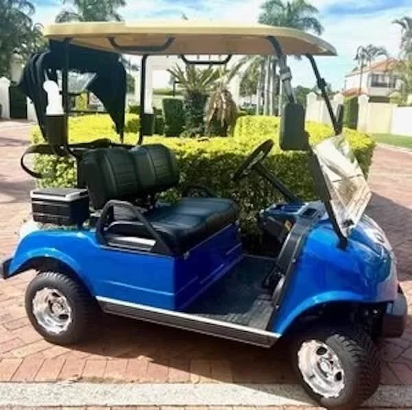 Classic 2 seat golf cart