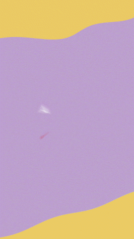SwisseMe_NoiseMedia_HealthySnack_Ad.gif